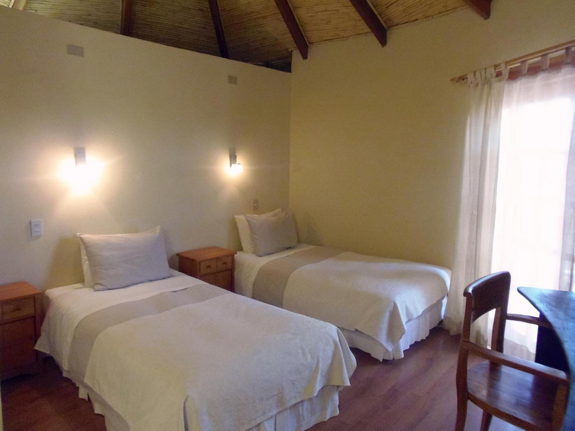 Twin Room photo 1
