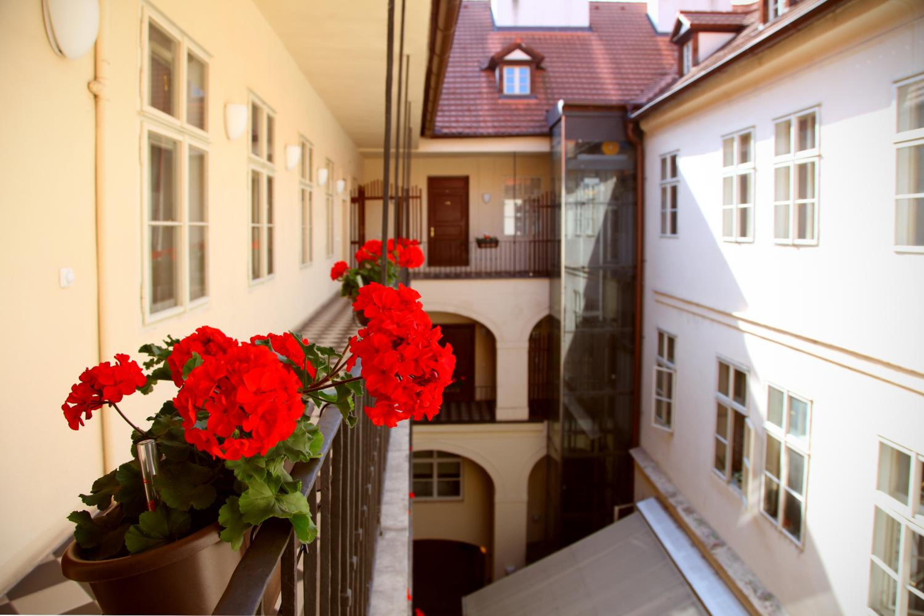 Superior Apartment