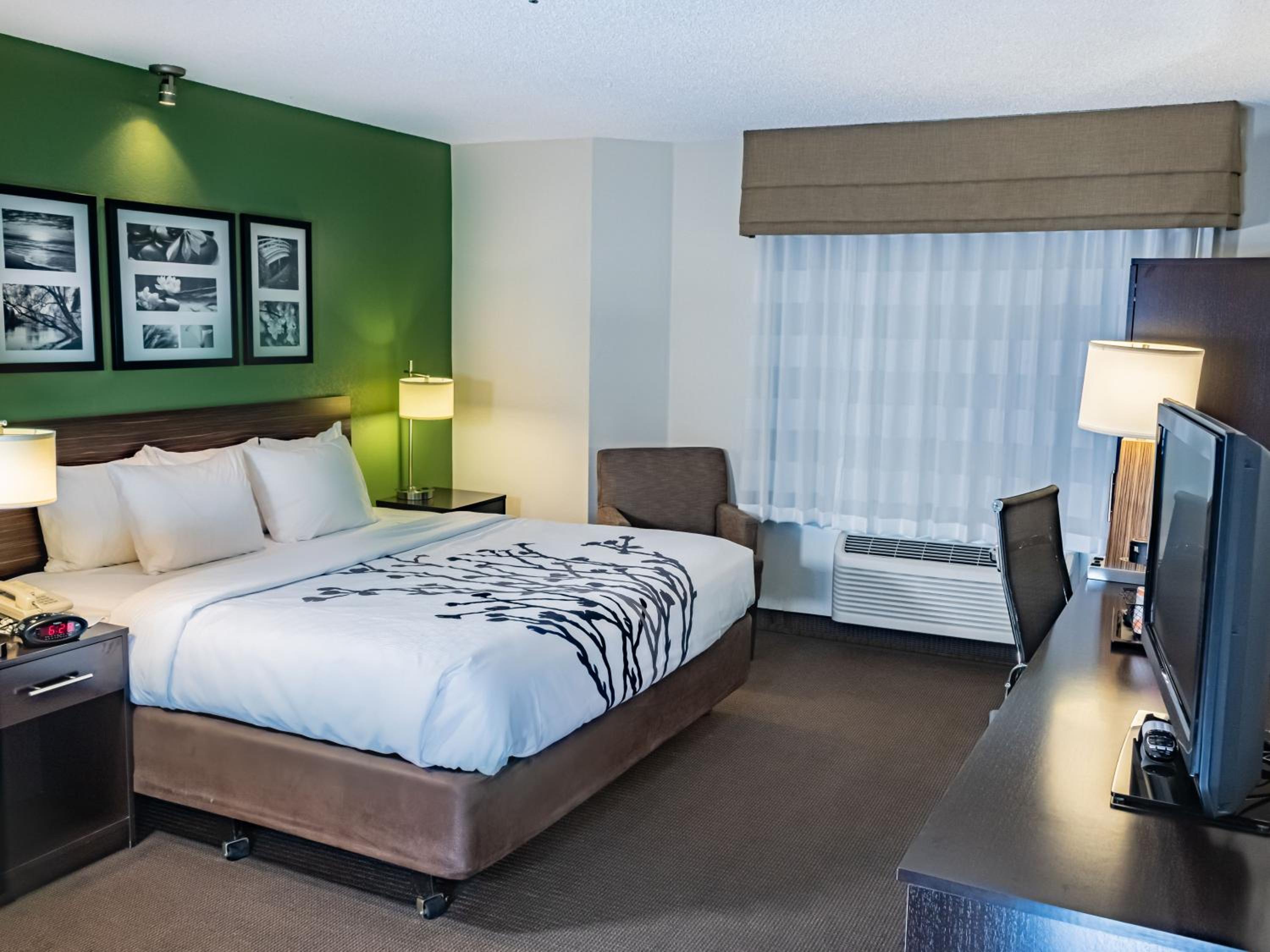 King Room - Non-Smoking - Photo 5