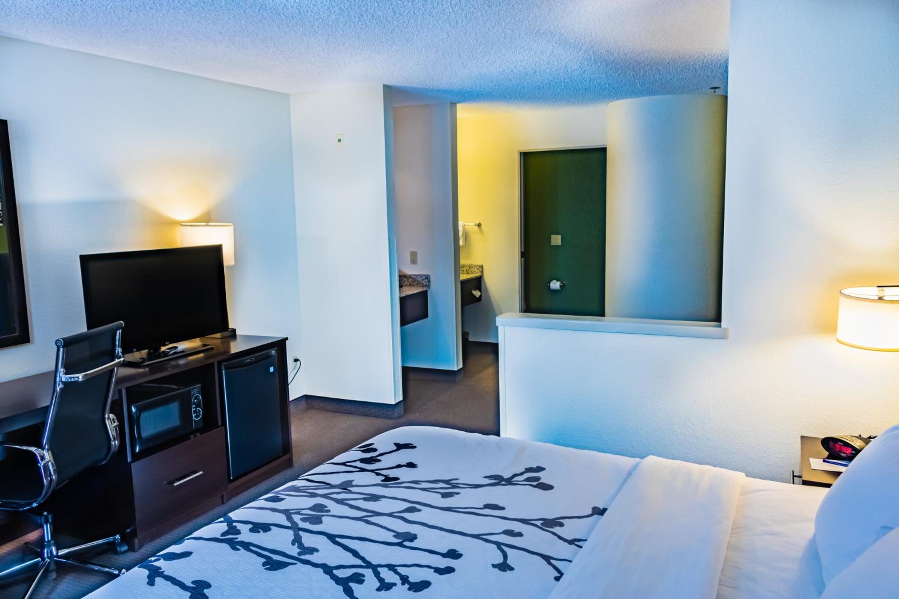 King Suite with Sofa Bed - Non-Smoking - Photo 11