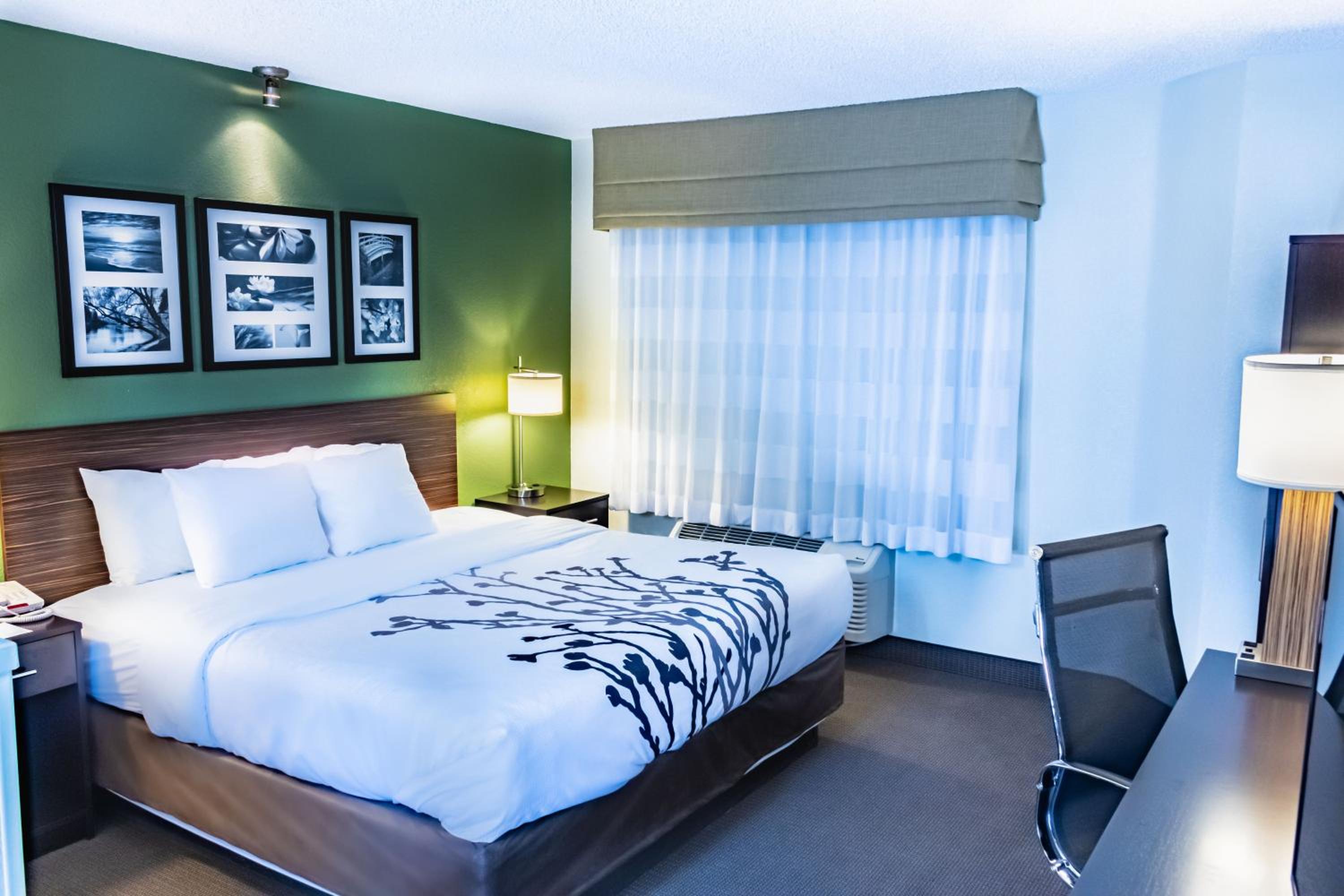 King Room - Non-Smoking - Photo 2