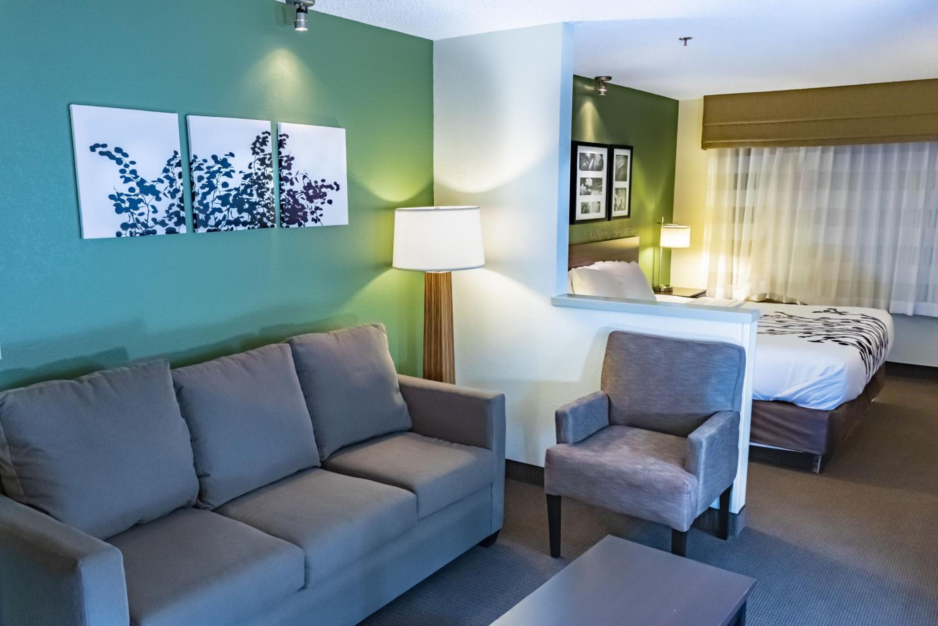 King Suite with Sofa Bed - Non-Smoking - Photo 8