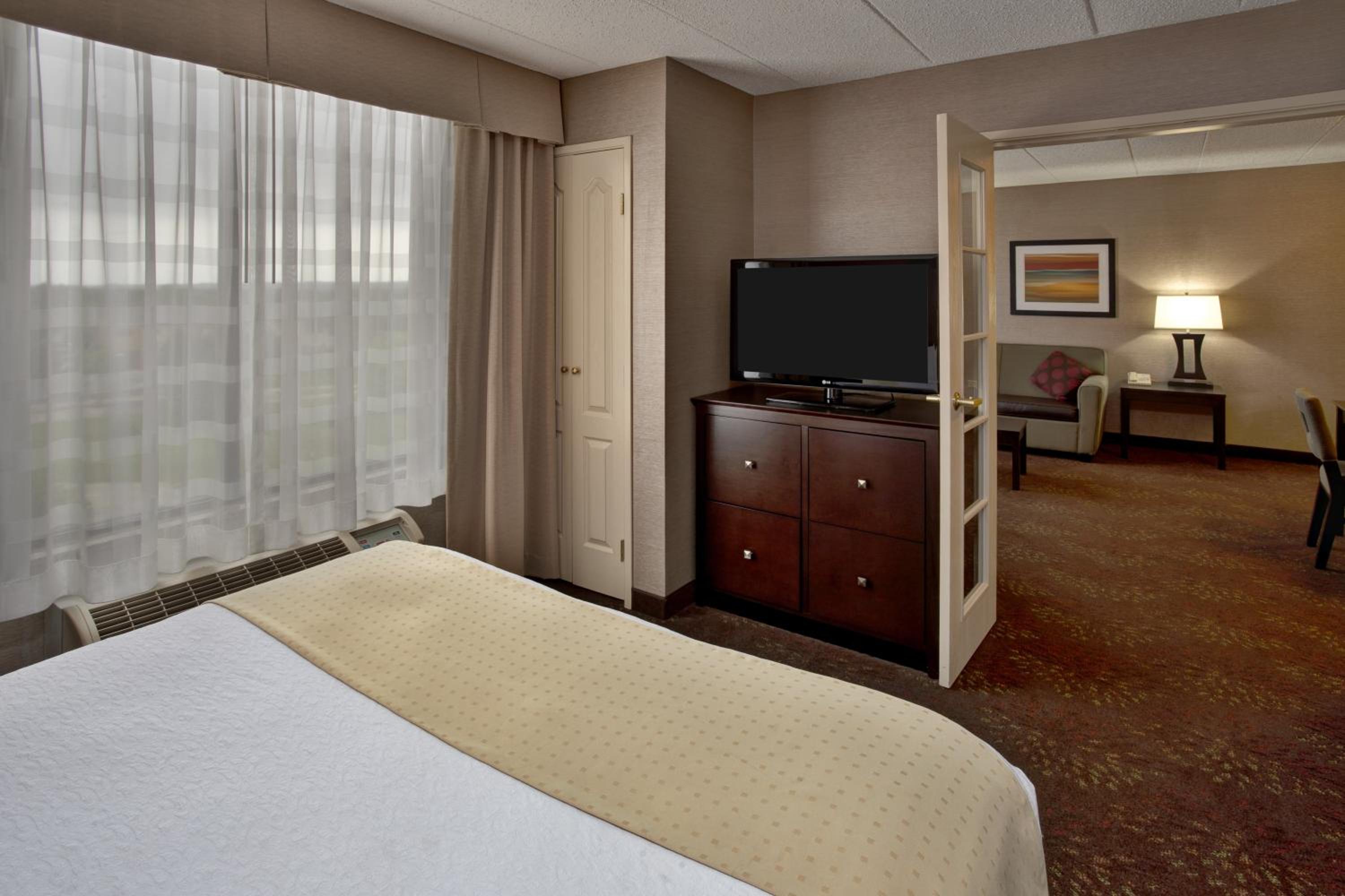 One-Bedroom Suite with Sofa Bed photo 2