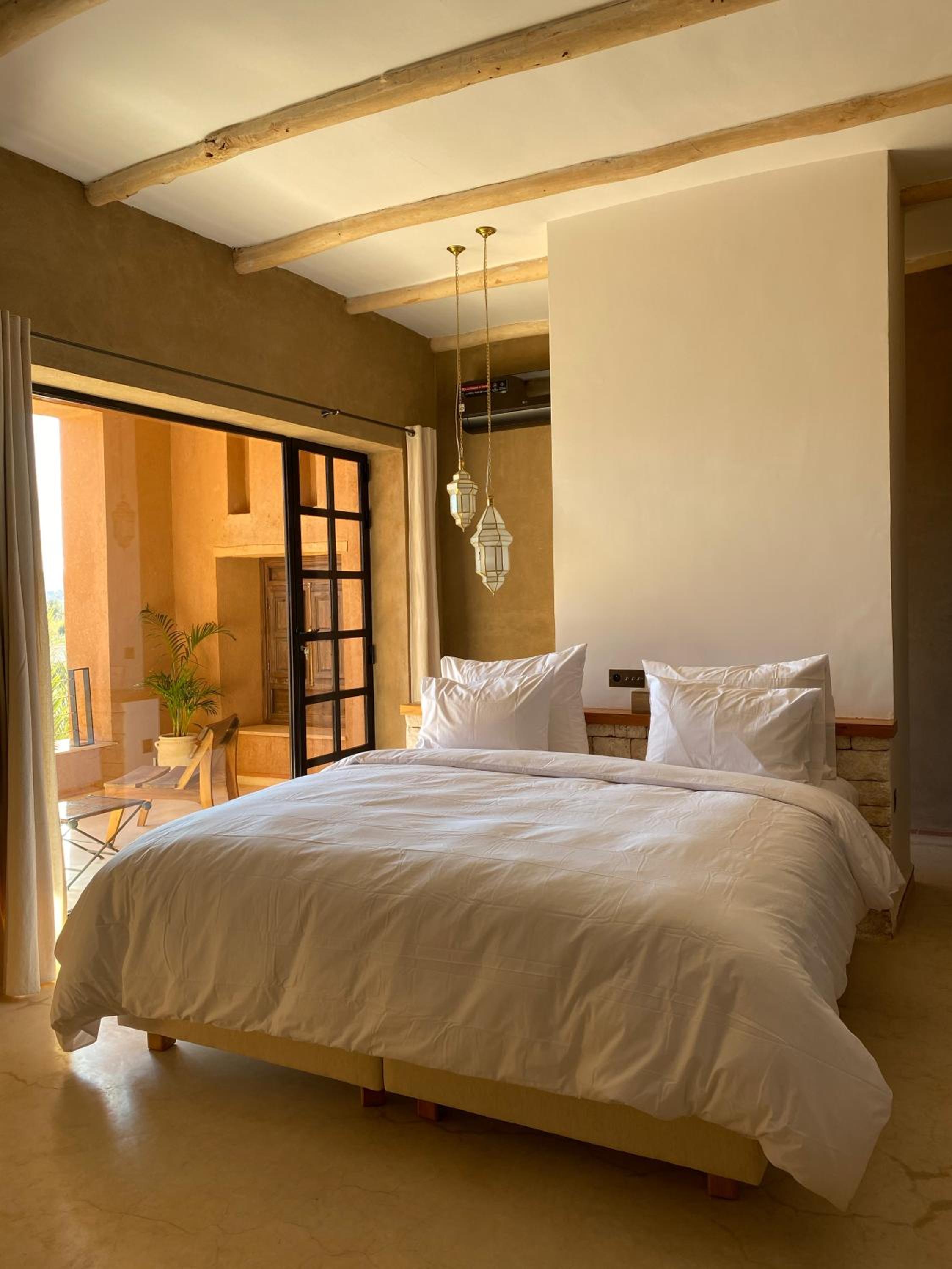 Suite - Photo 1