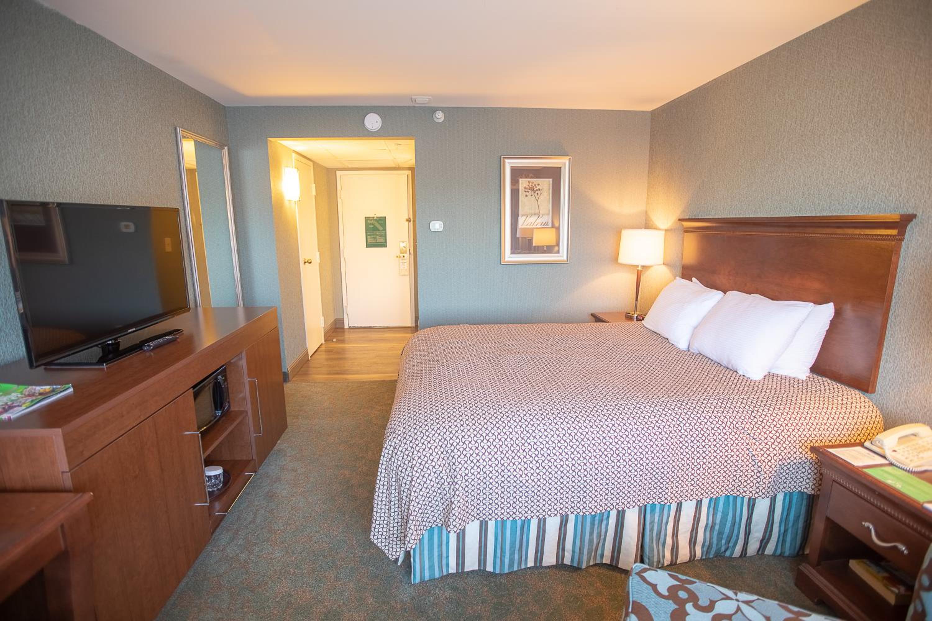 Queen Room - Photo 1