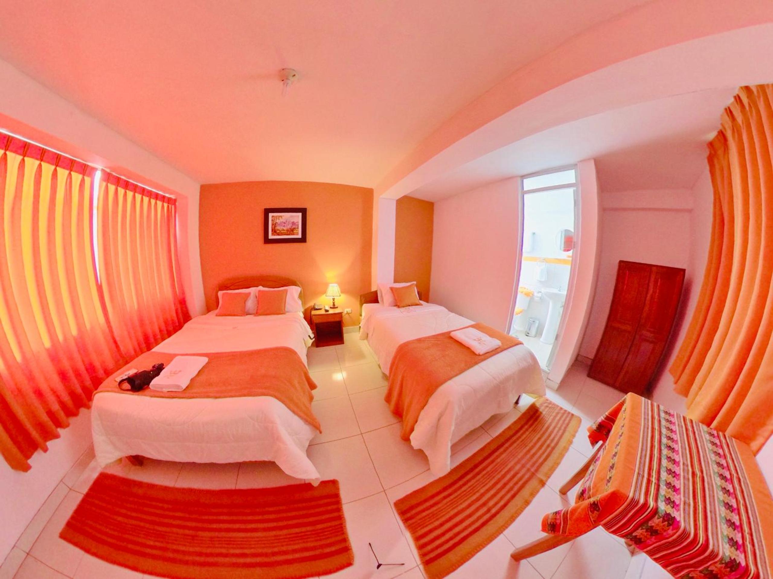 Twin Room photo 3