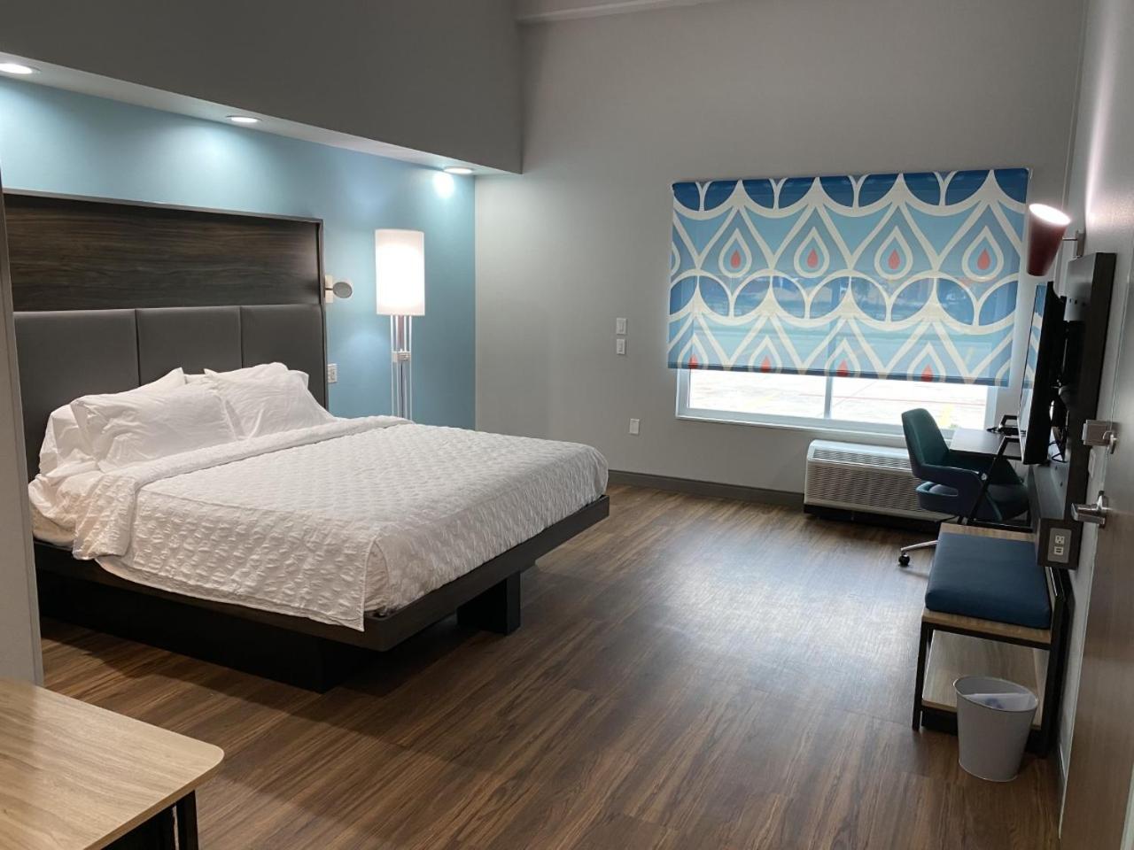King Room - Photo 1
