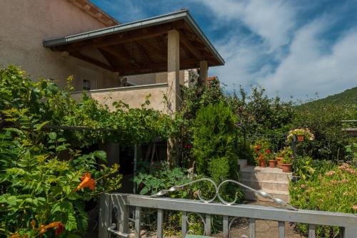 Studio with Balcony photo 2