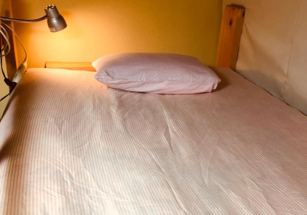 Bed in Mixed Dormitory Room photo 1