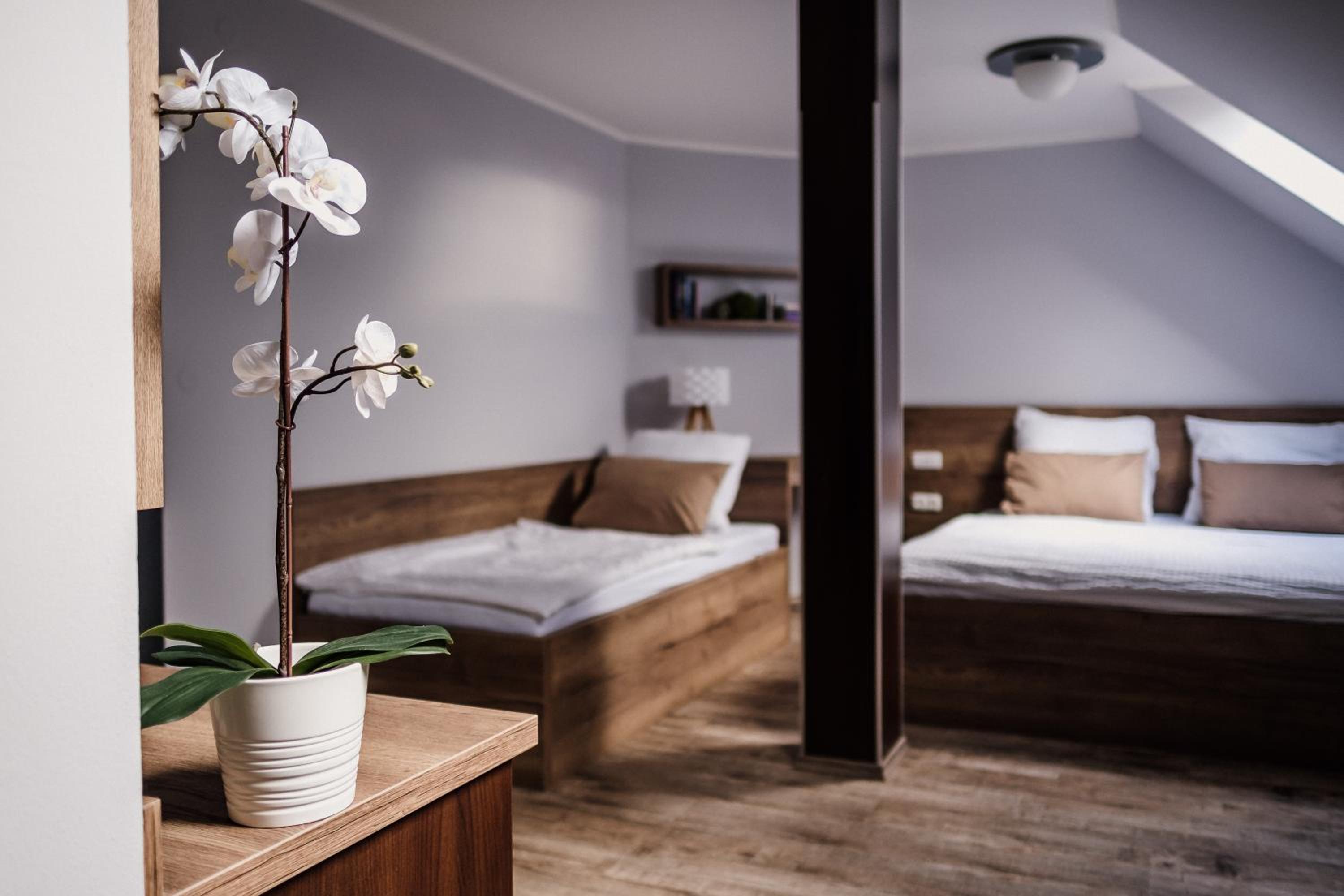 Standard Triple Room photo 1