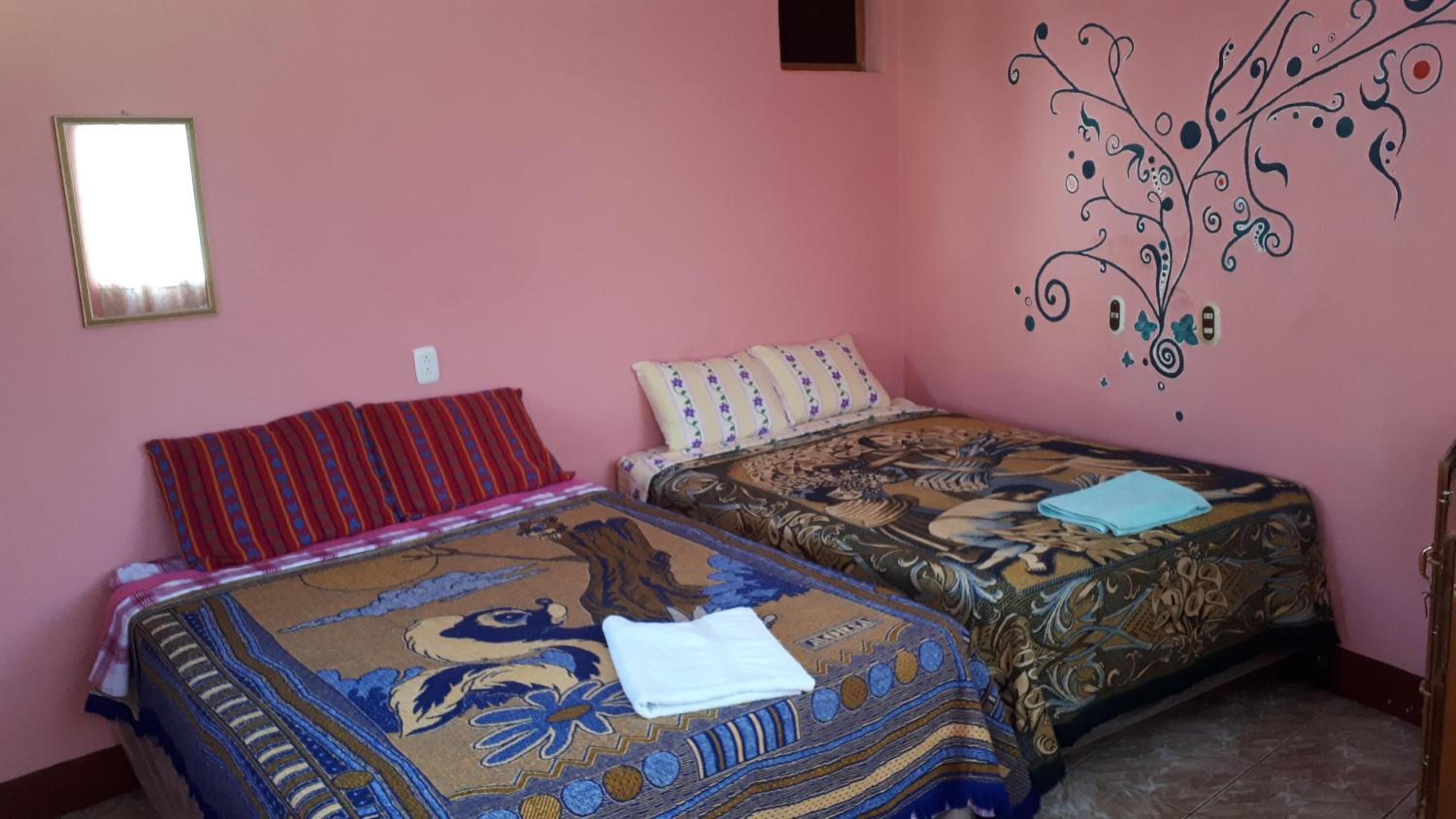 Single Bed in Female Dormitory Room photo 1