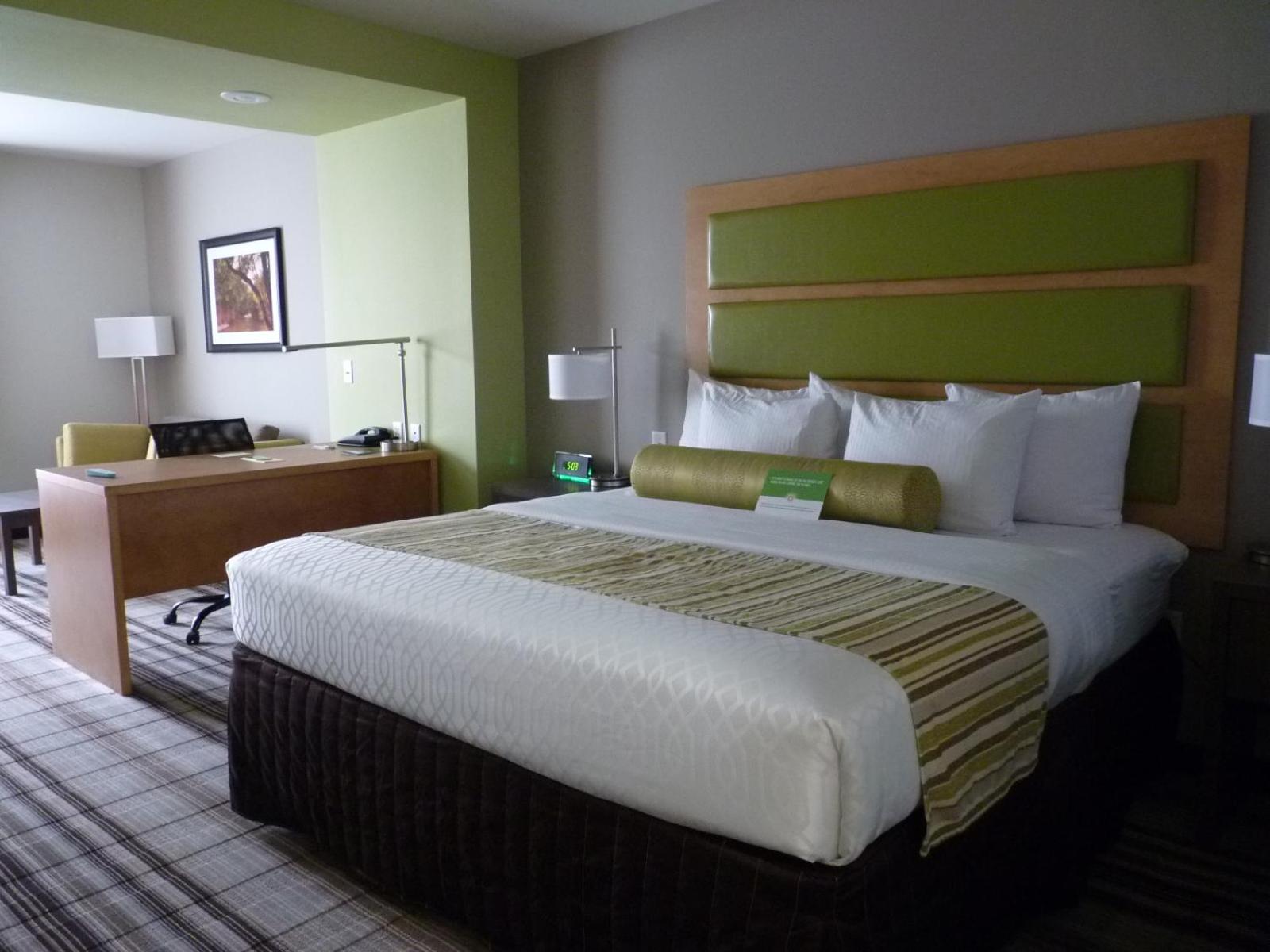 Executive King Room with Sofa Bed