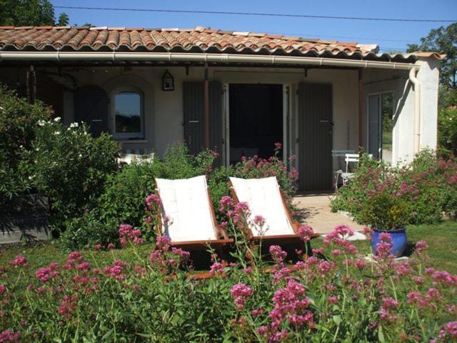 Studio with Terrace photo 3