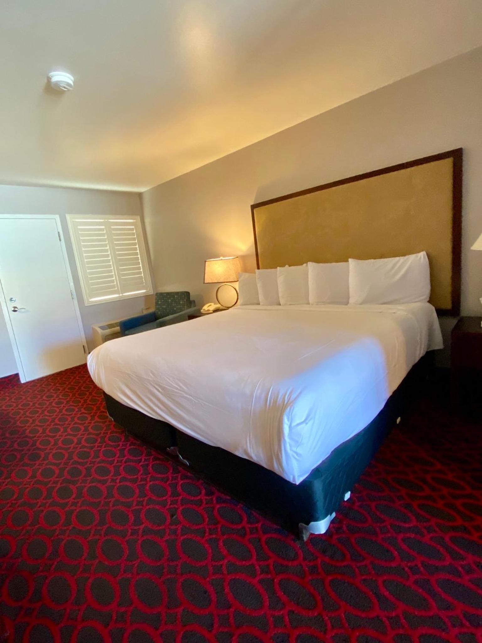 Executive Suite photo 3
