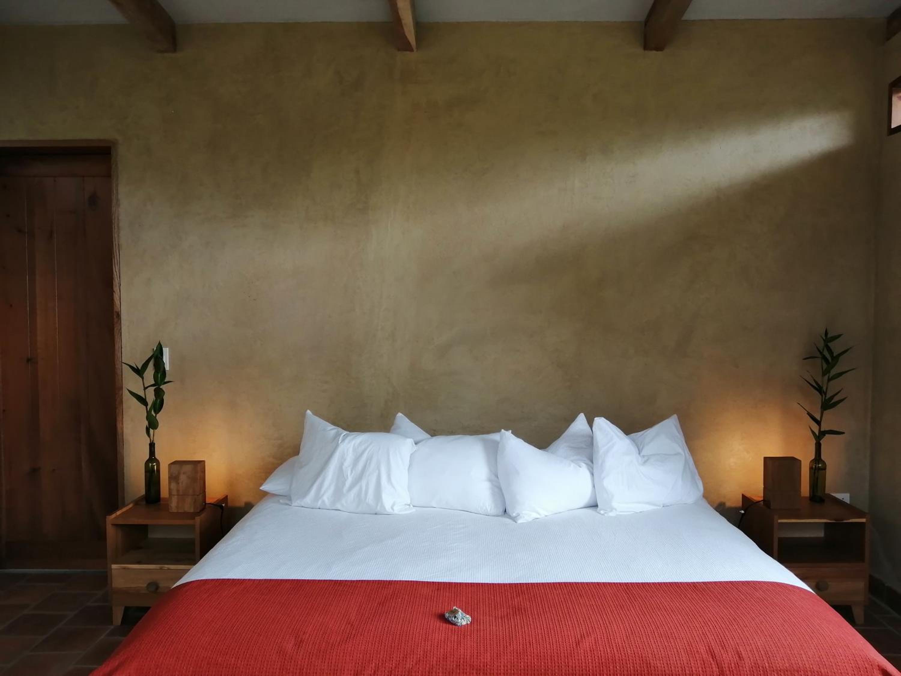 Superior Double or Twin Room with Terrace