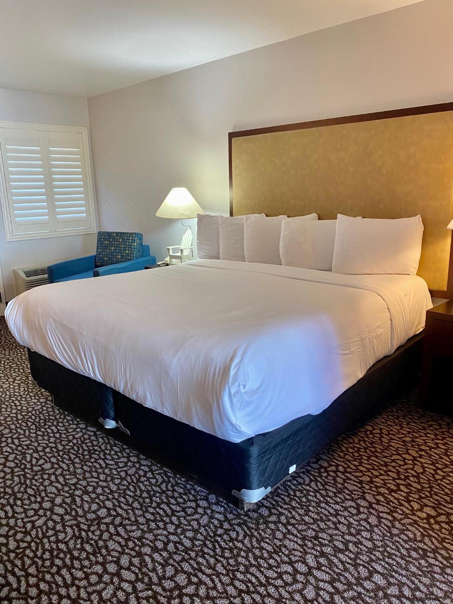Standard King Room - Photo 6