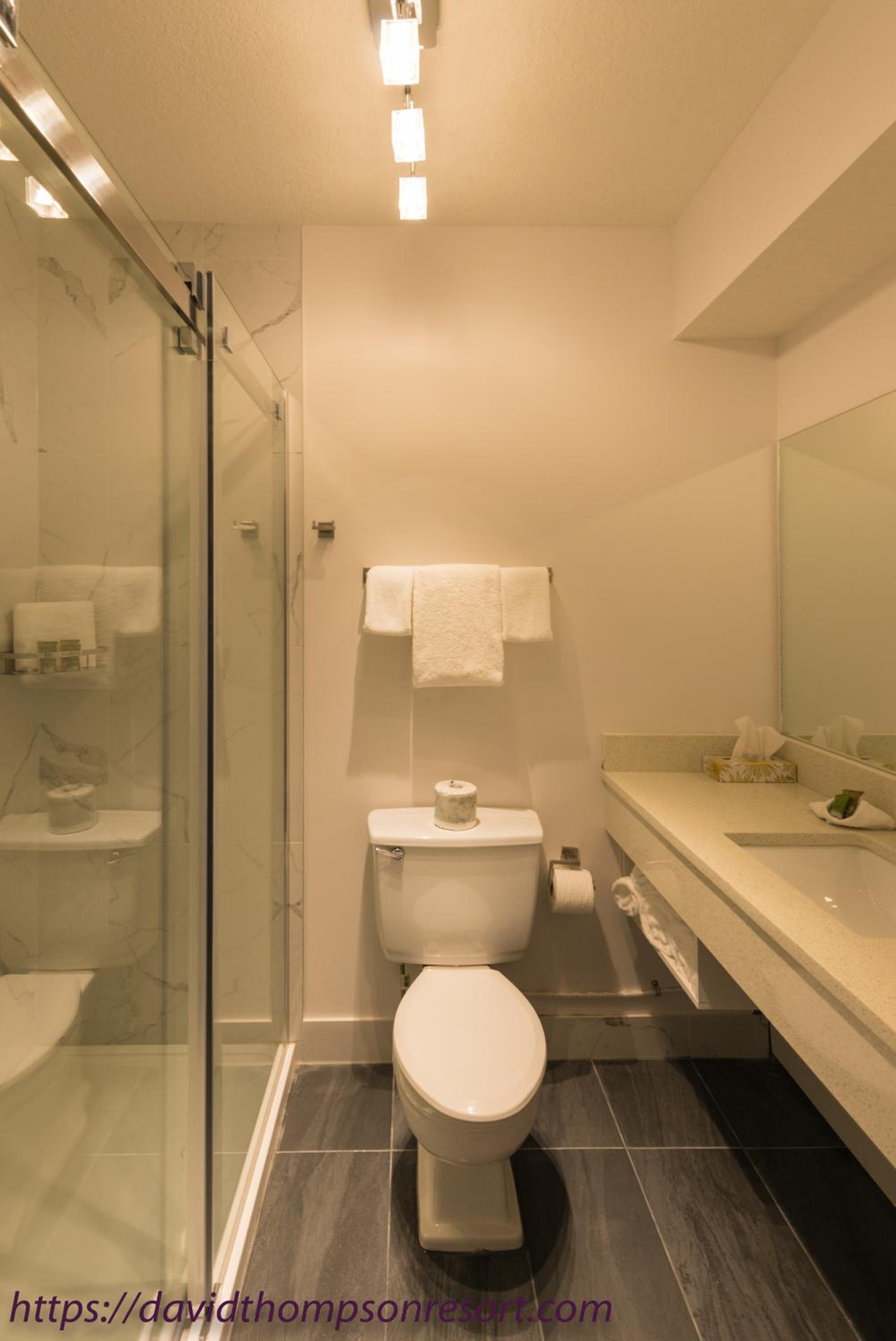 Deluxe Queen Room - Photo 2