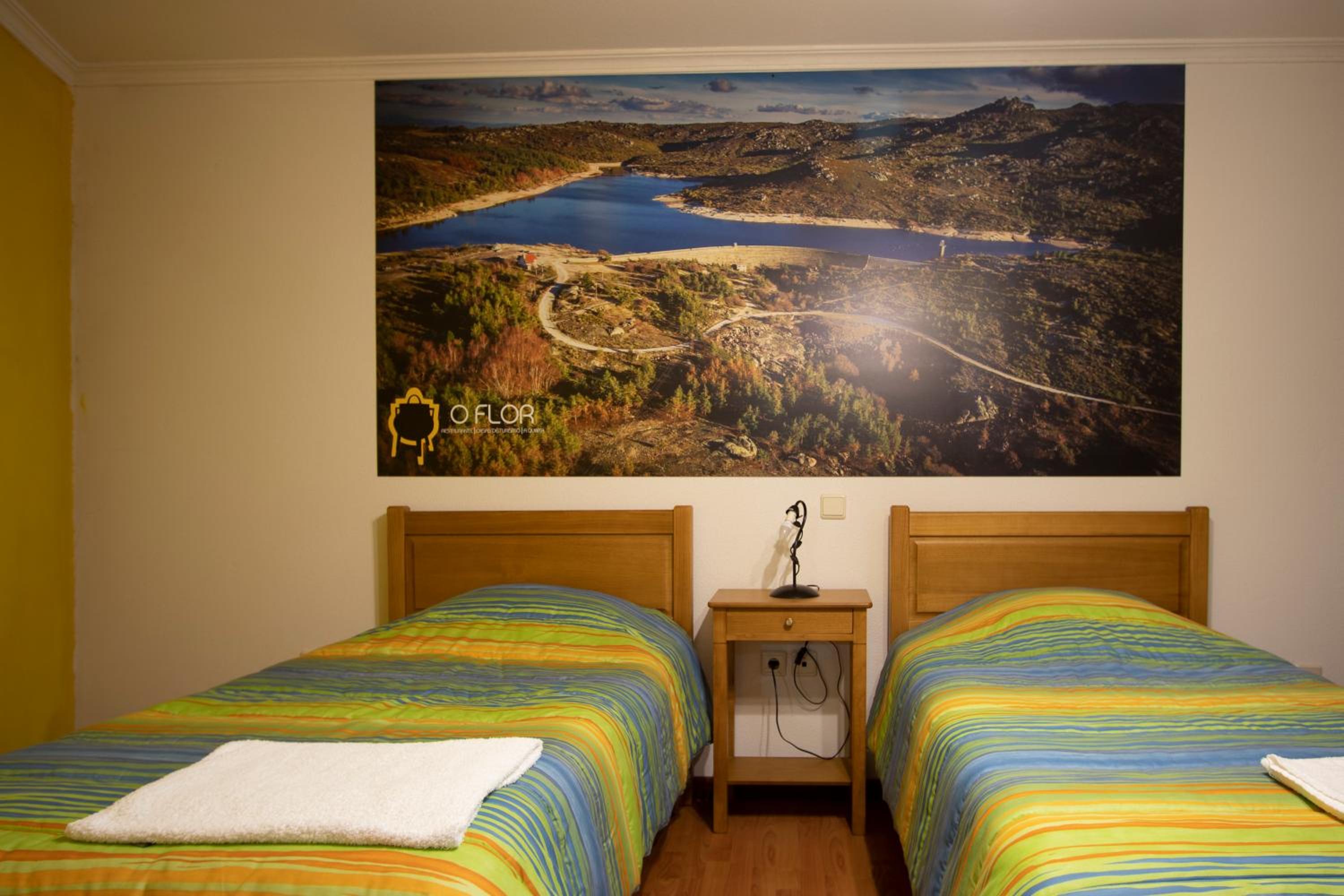 Apartment - Photo 5