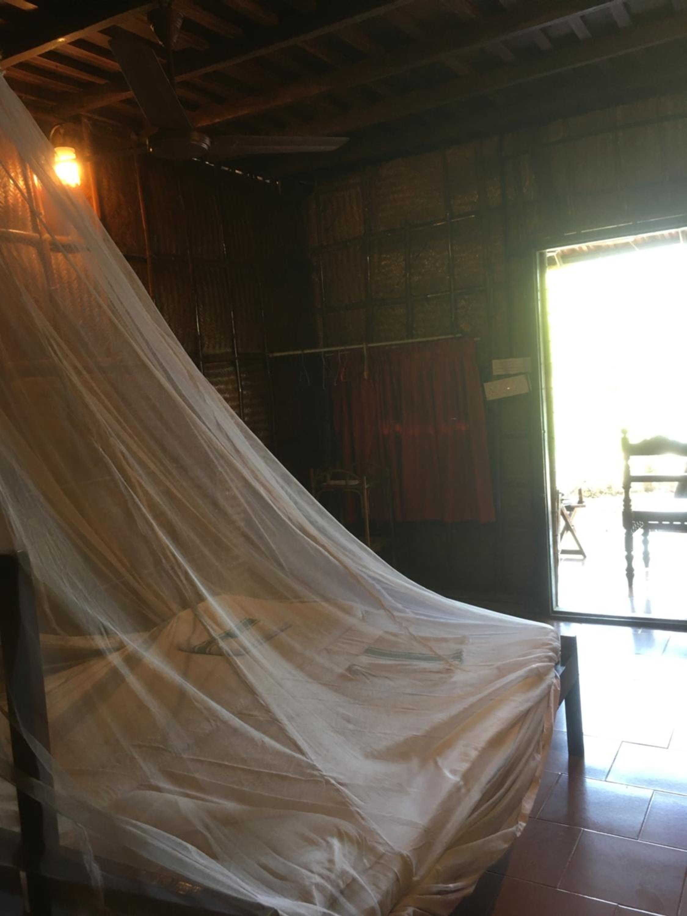 自然小屋
