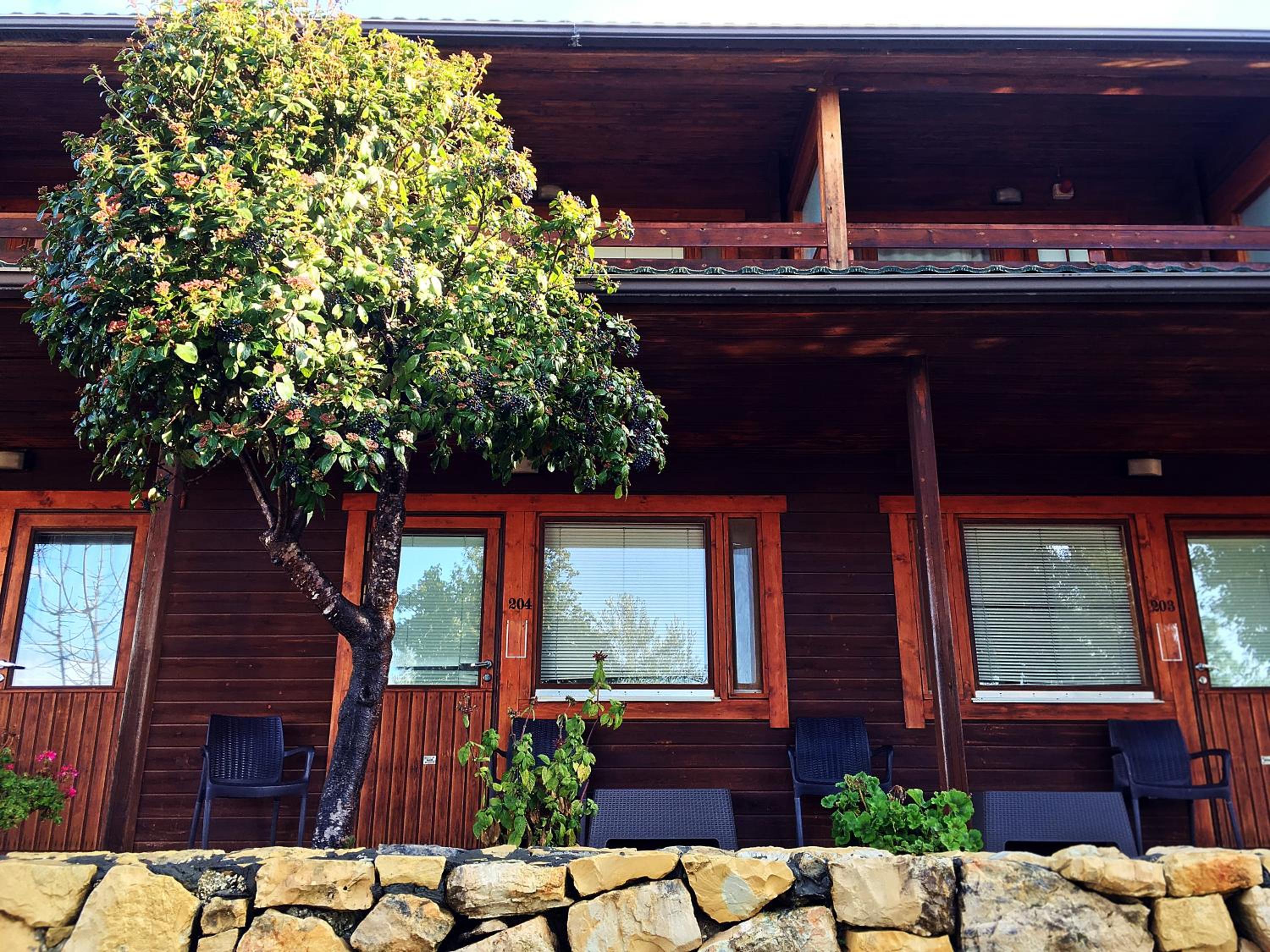  Classic Double or Twin Room - Photo 18