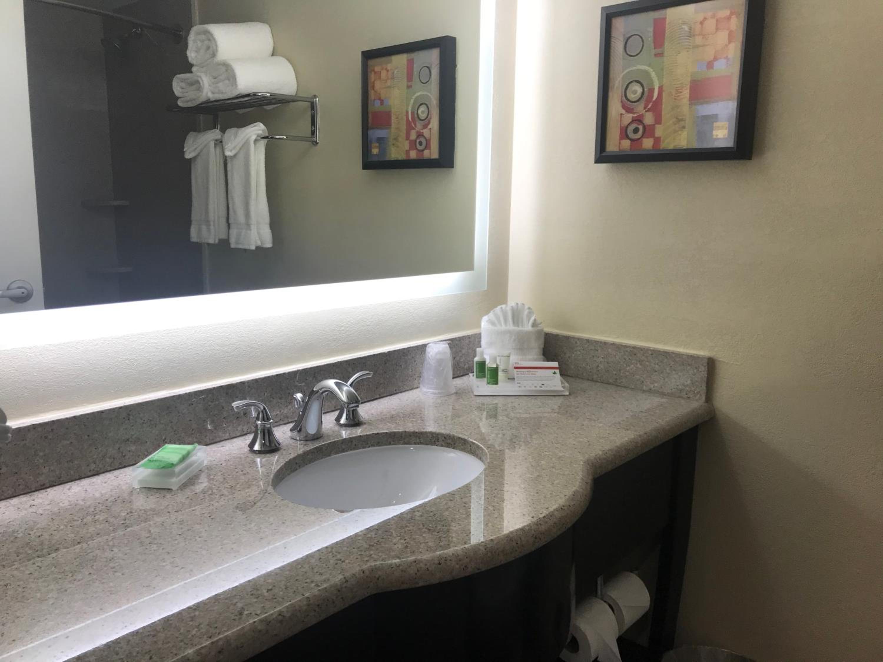 Standard Room, 1 King Bed, Roll-in Shower (Mobility)
