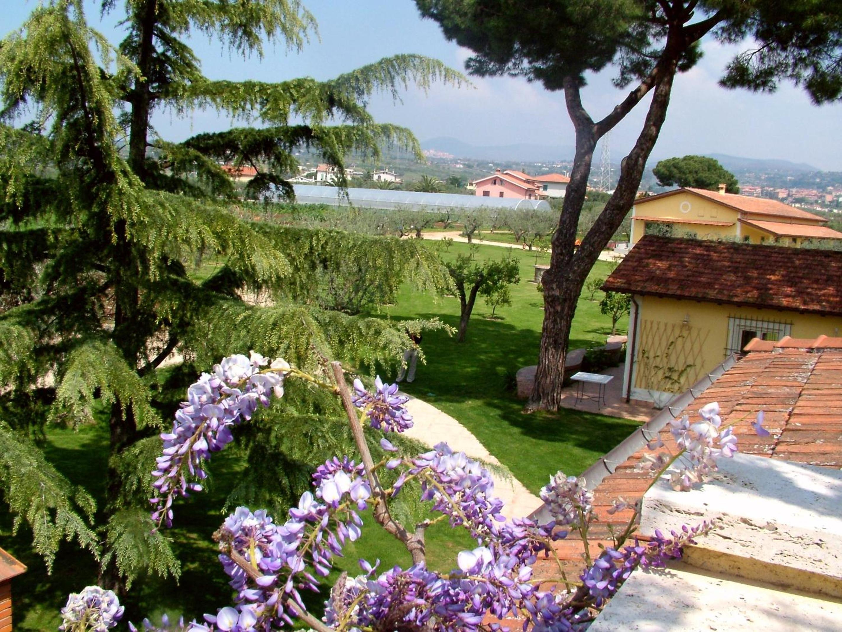 Single Room with Garden View photo 3