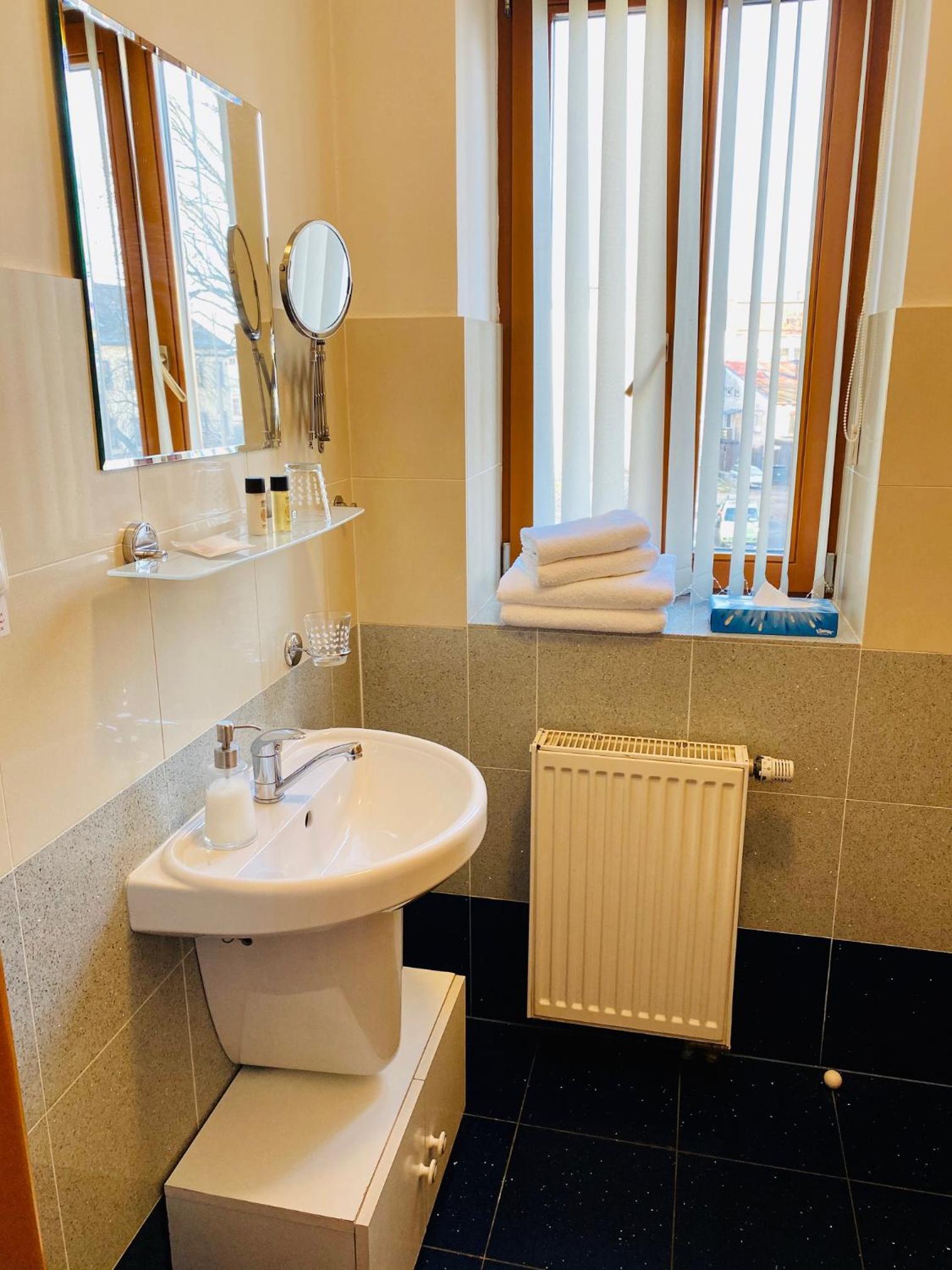 Deluxe Double or Twin Room photo 2