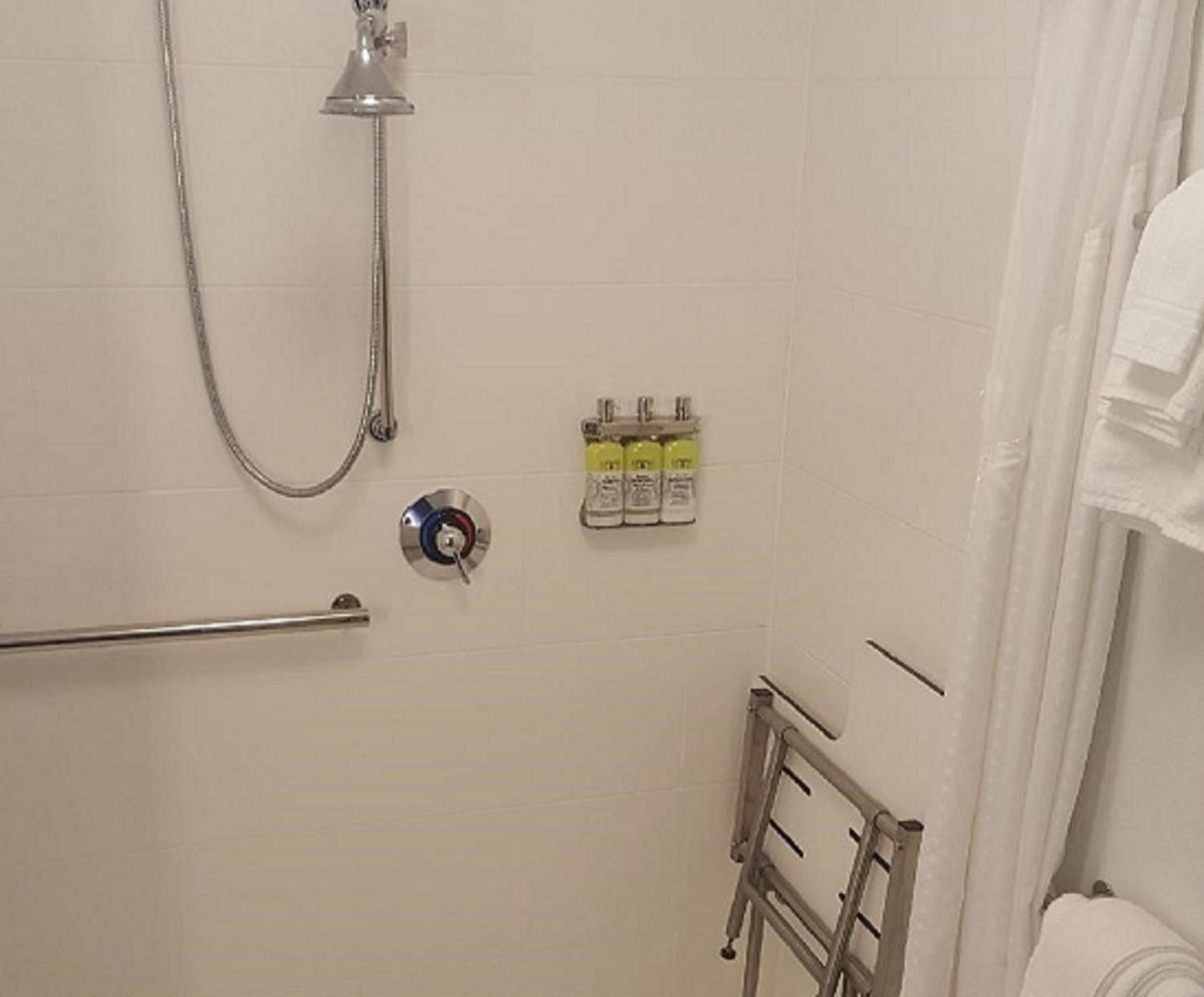 One-Bedroom King Suite with Communications Accessible Roll-In Shower