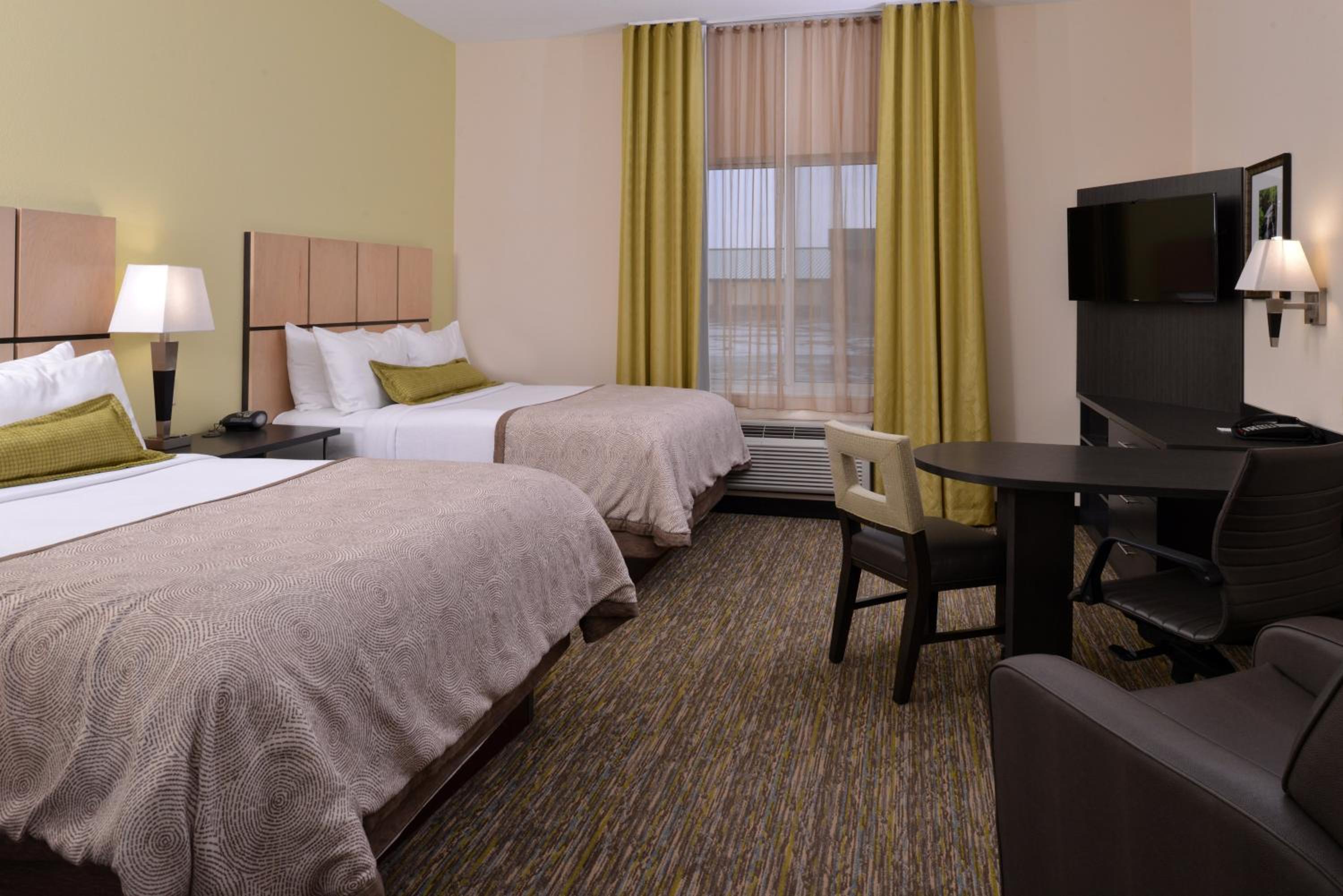 Studio Suite with Two Queen Beds photo 1