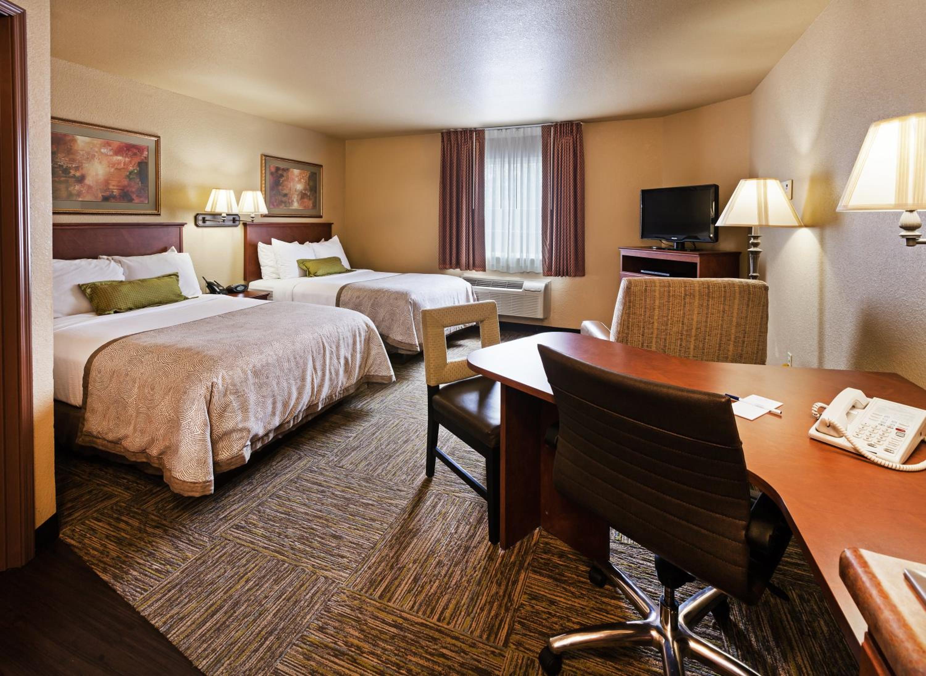Studio Suite with Two Double Beds - Photo 1