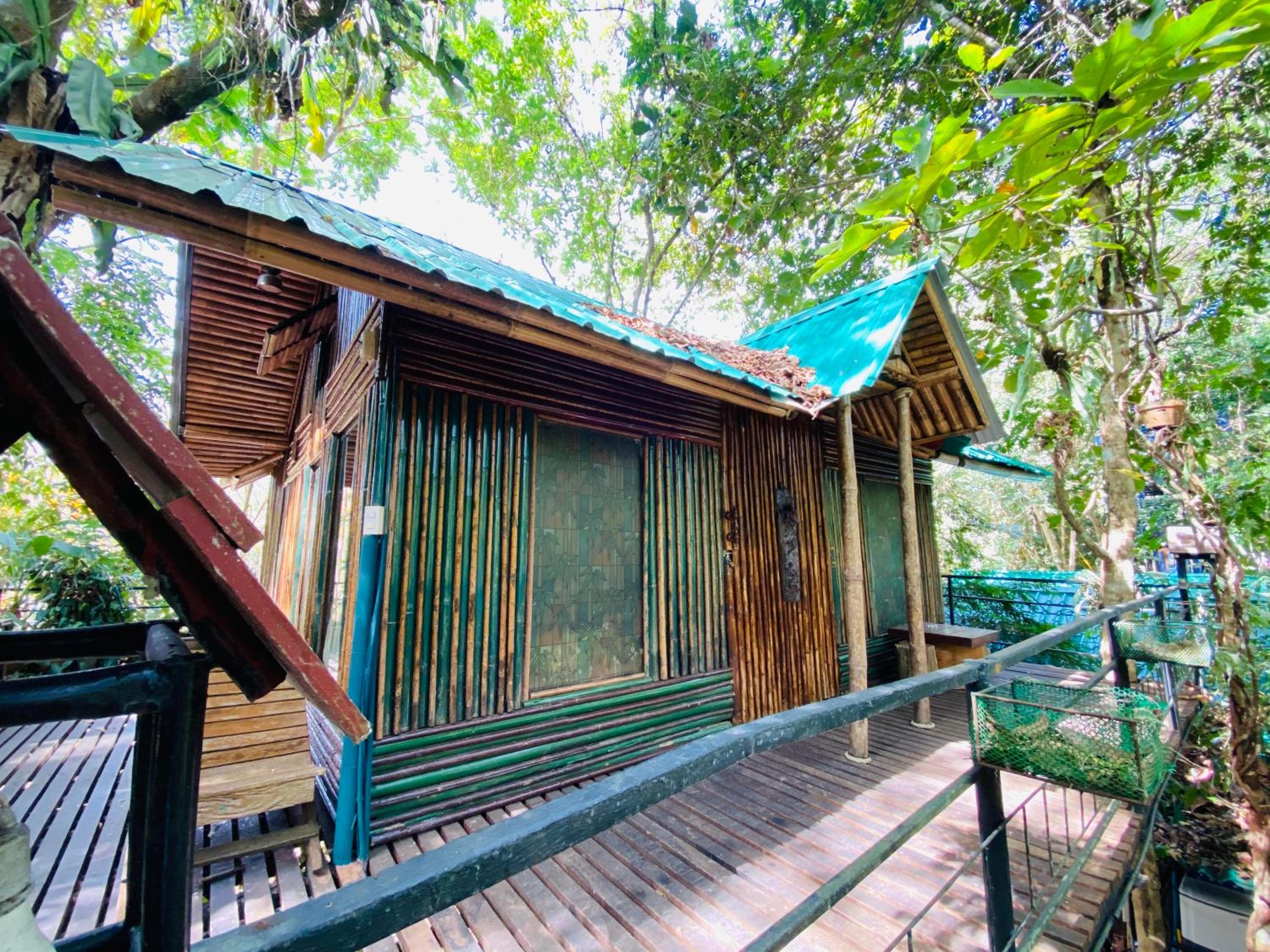 Bungalow (4 Adults) photo 2