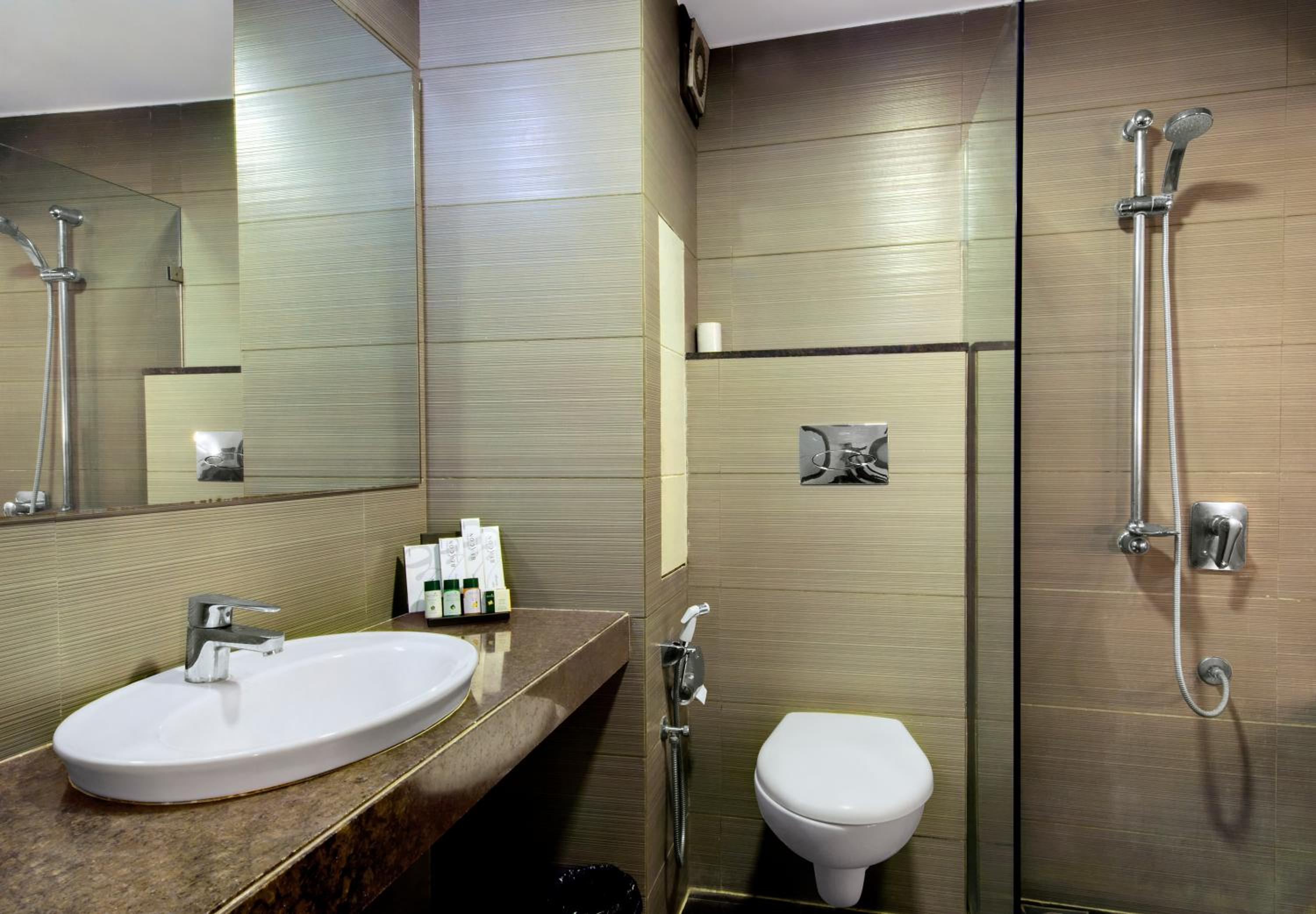 Premium Double or Twin Room photo 3
