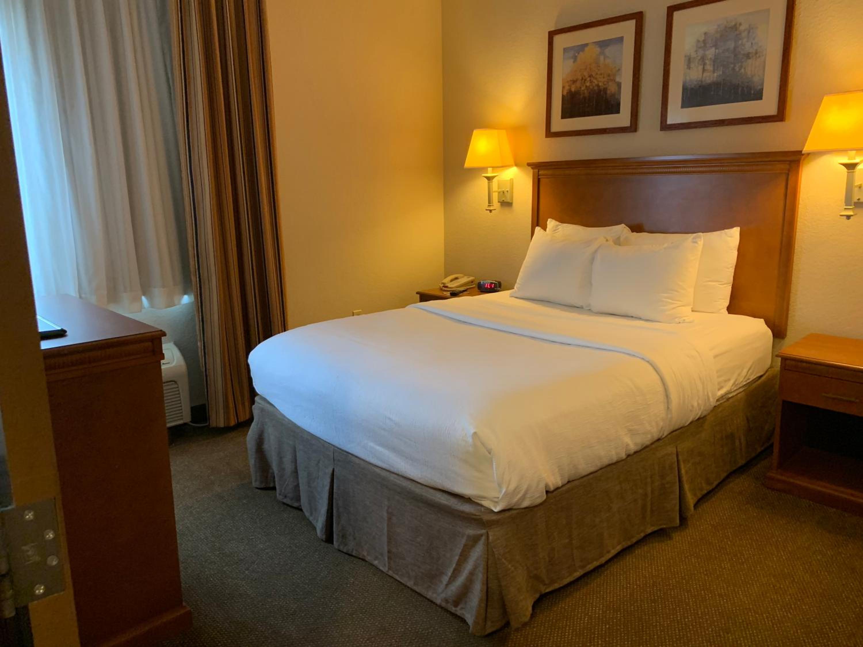 One-Bedroom Suite - Photo 2