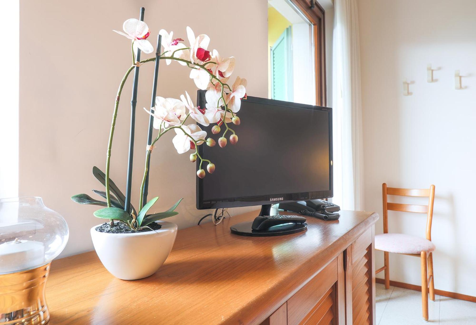 Studio Apartment photo 1
