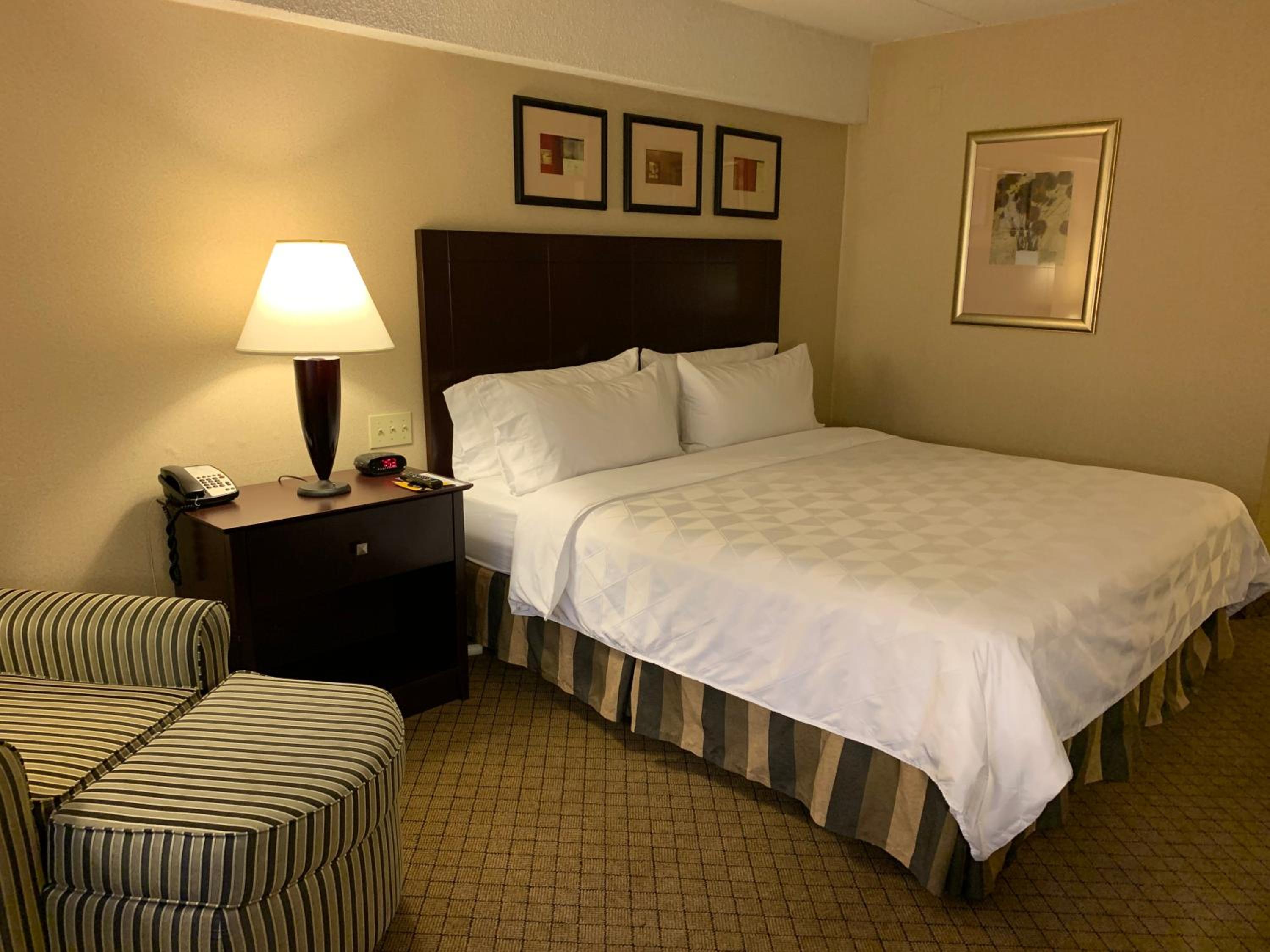 King Room - Disability Access photo 1