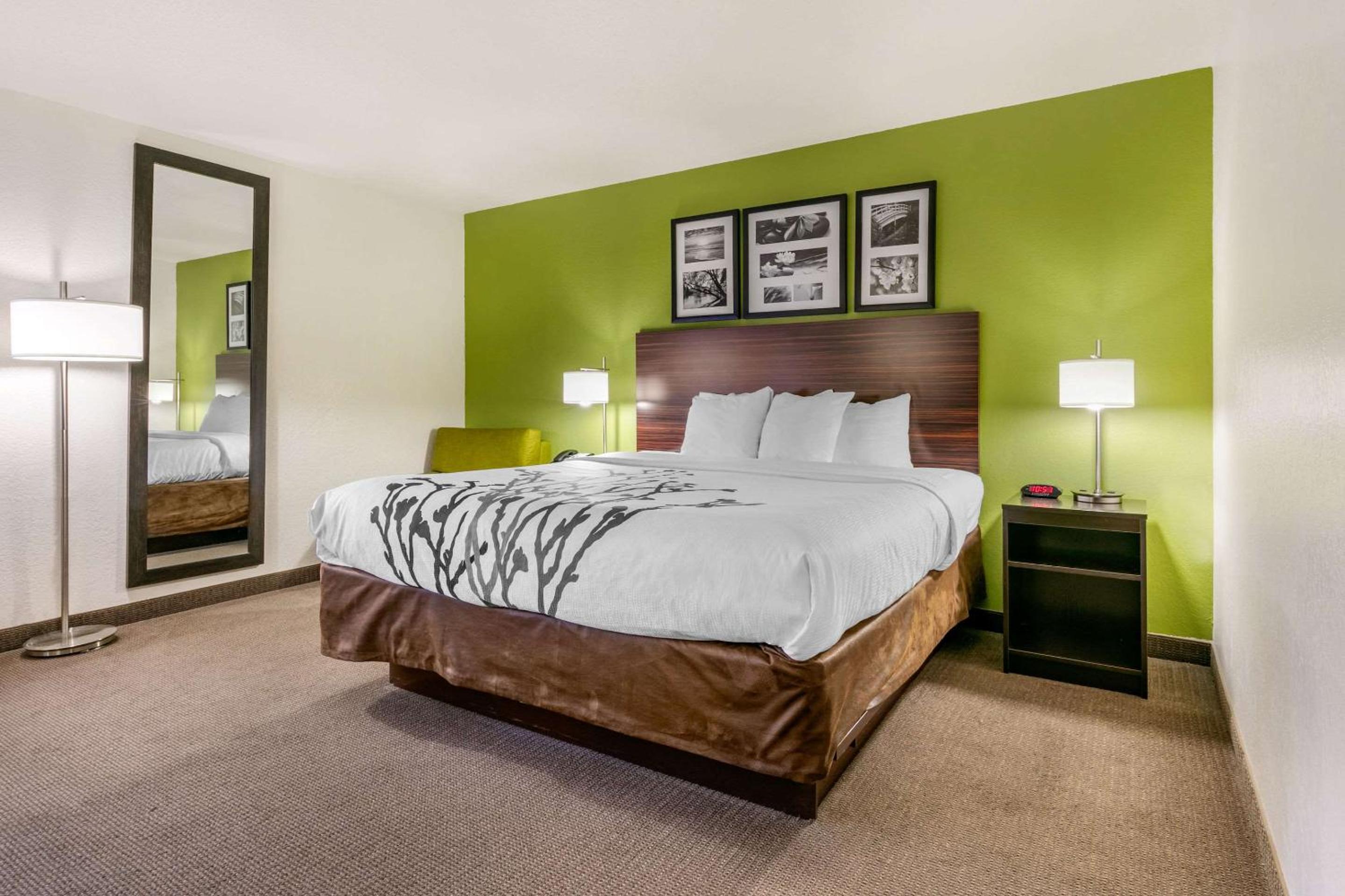 King Room - Non-Smoking - Photo 1