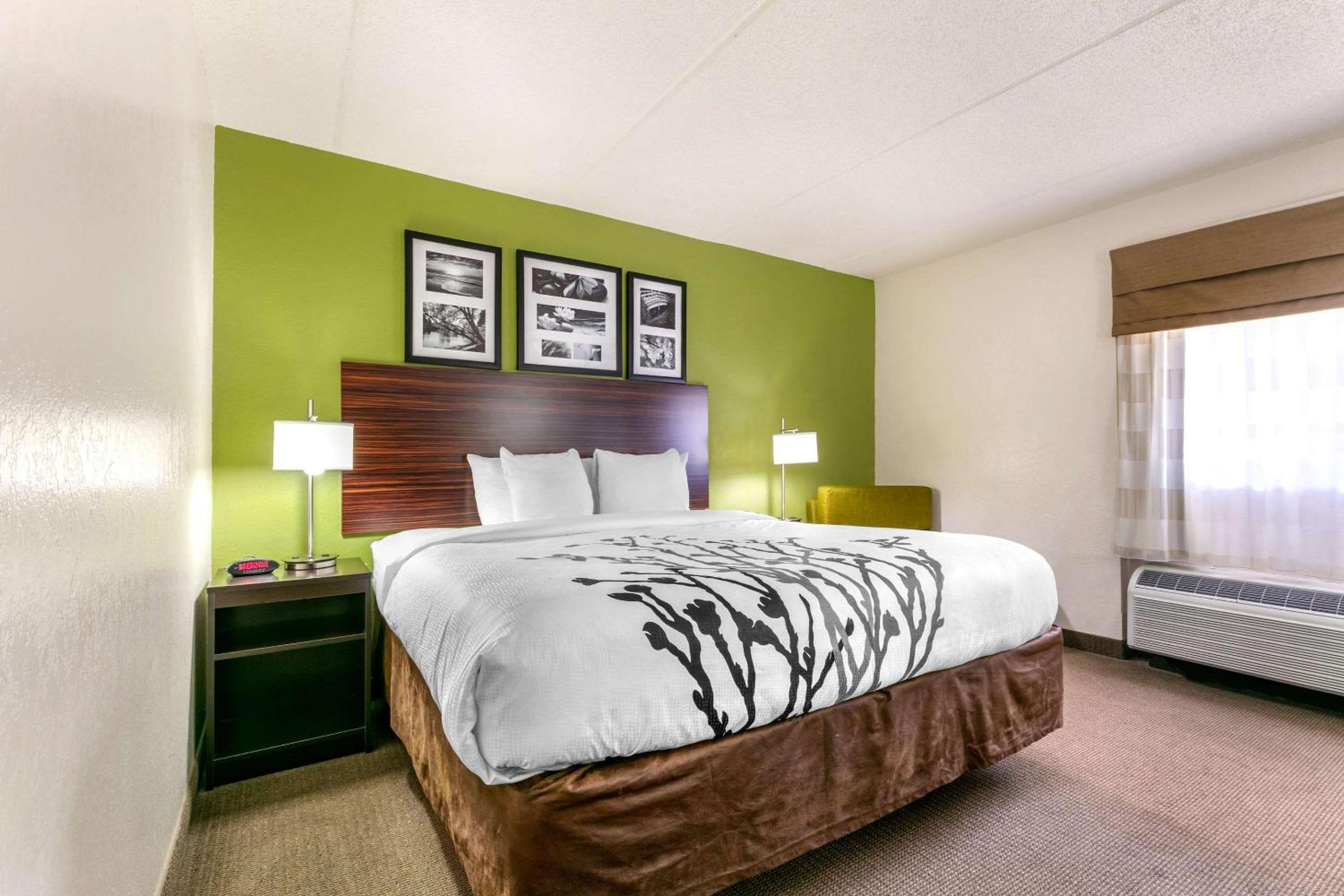 King Room - Non-Smoking - Photo 3