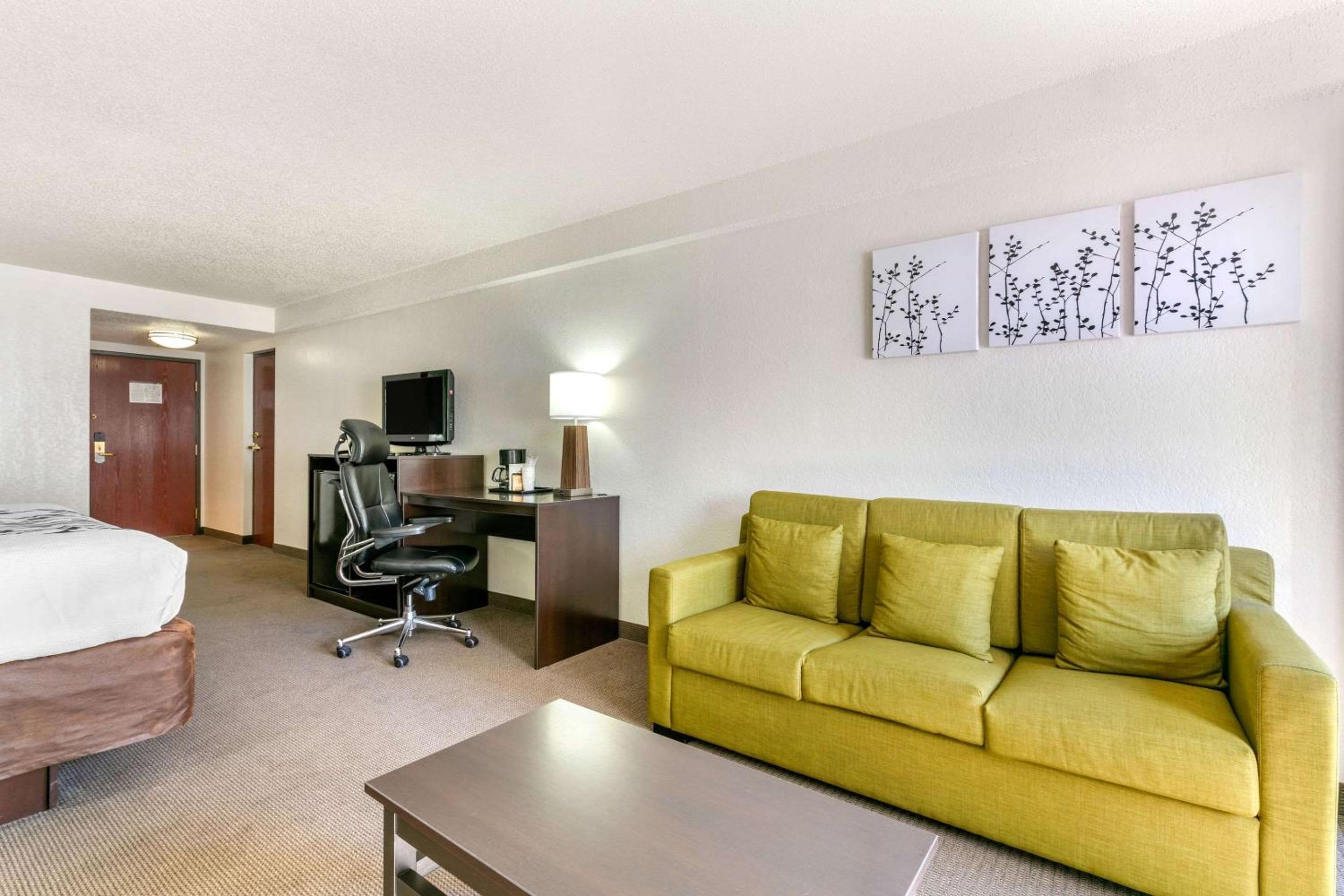 King Suite - Non-Smoking - Photo 1
