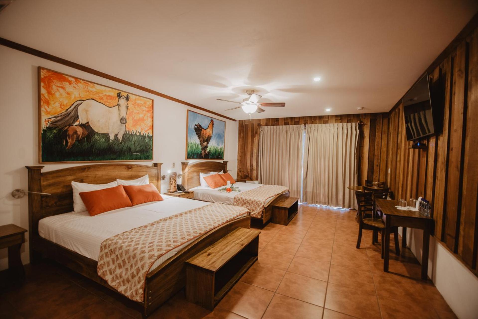 Superior Suite - Photo 6