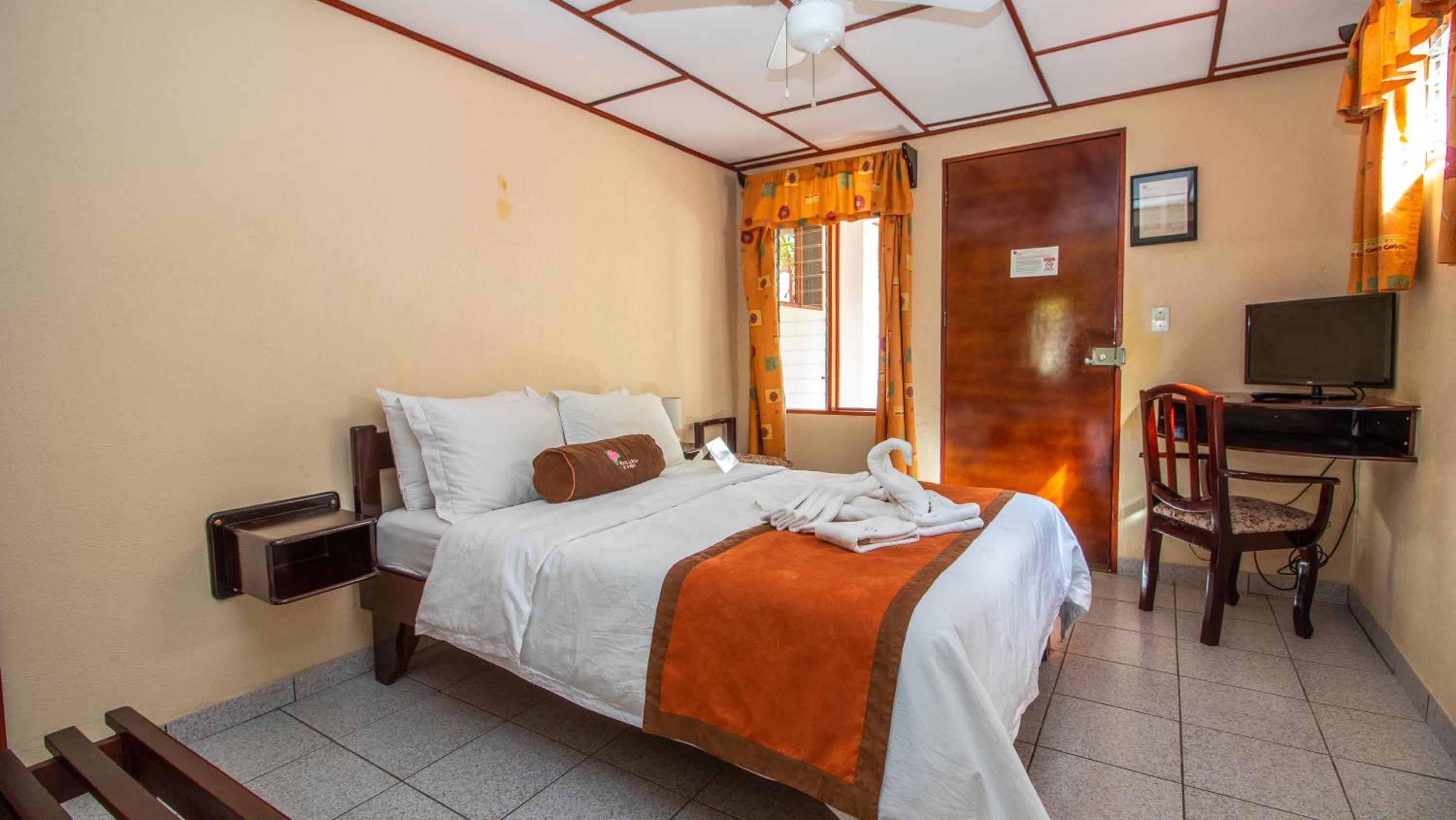 Single Room photo 2
