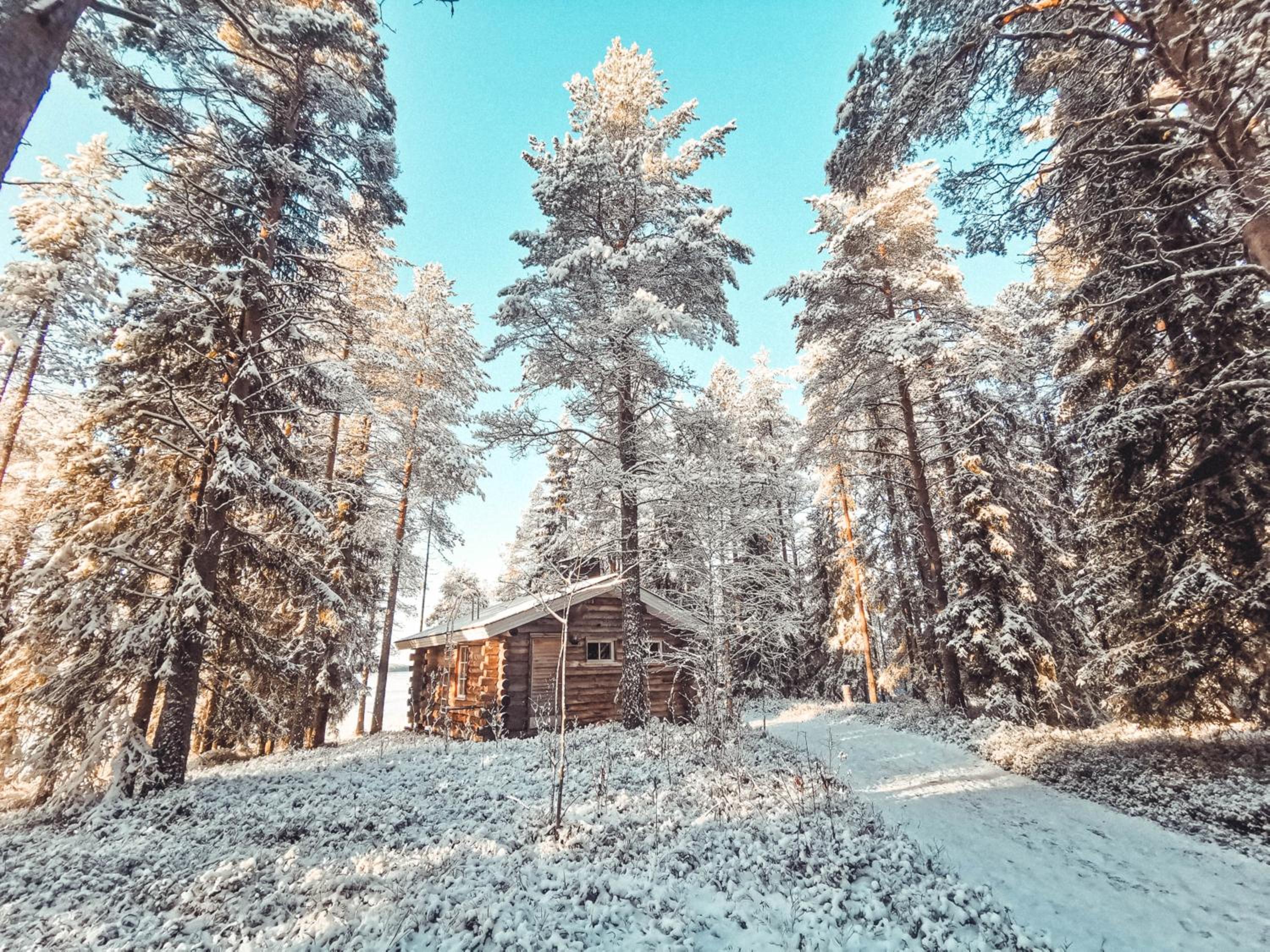 Cabin with Lake View photo 2