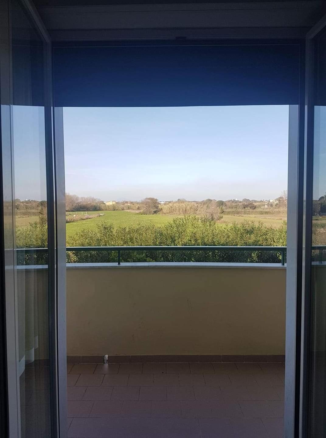 Double Room With Balcony photo 2