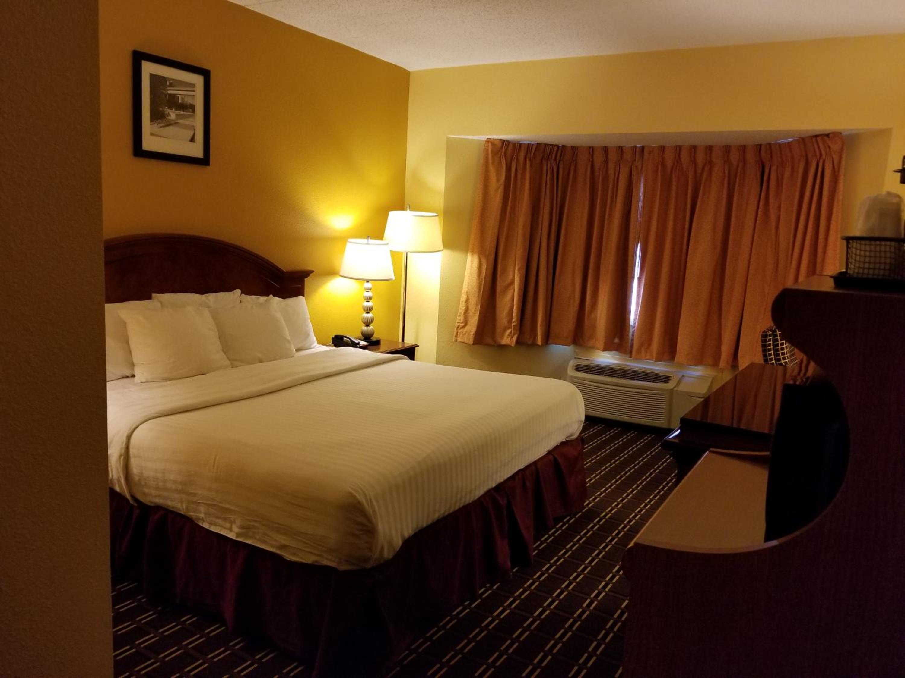 Single Room photo 3
