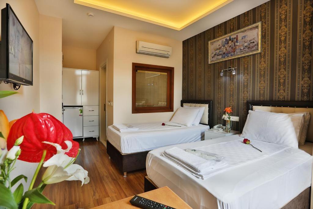 Economy Twin Room photo 3