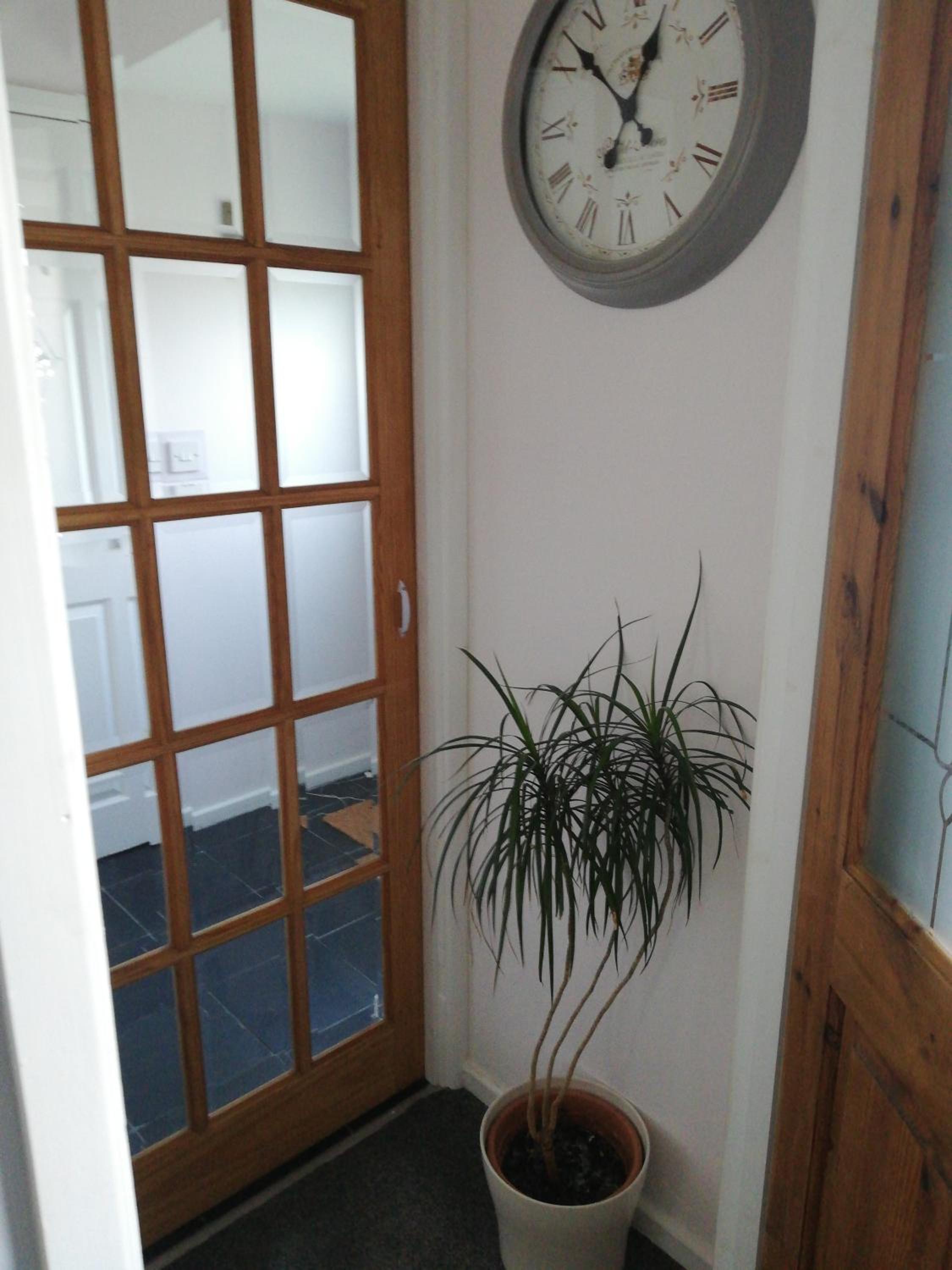 Budget Single Room photo 2