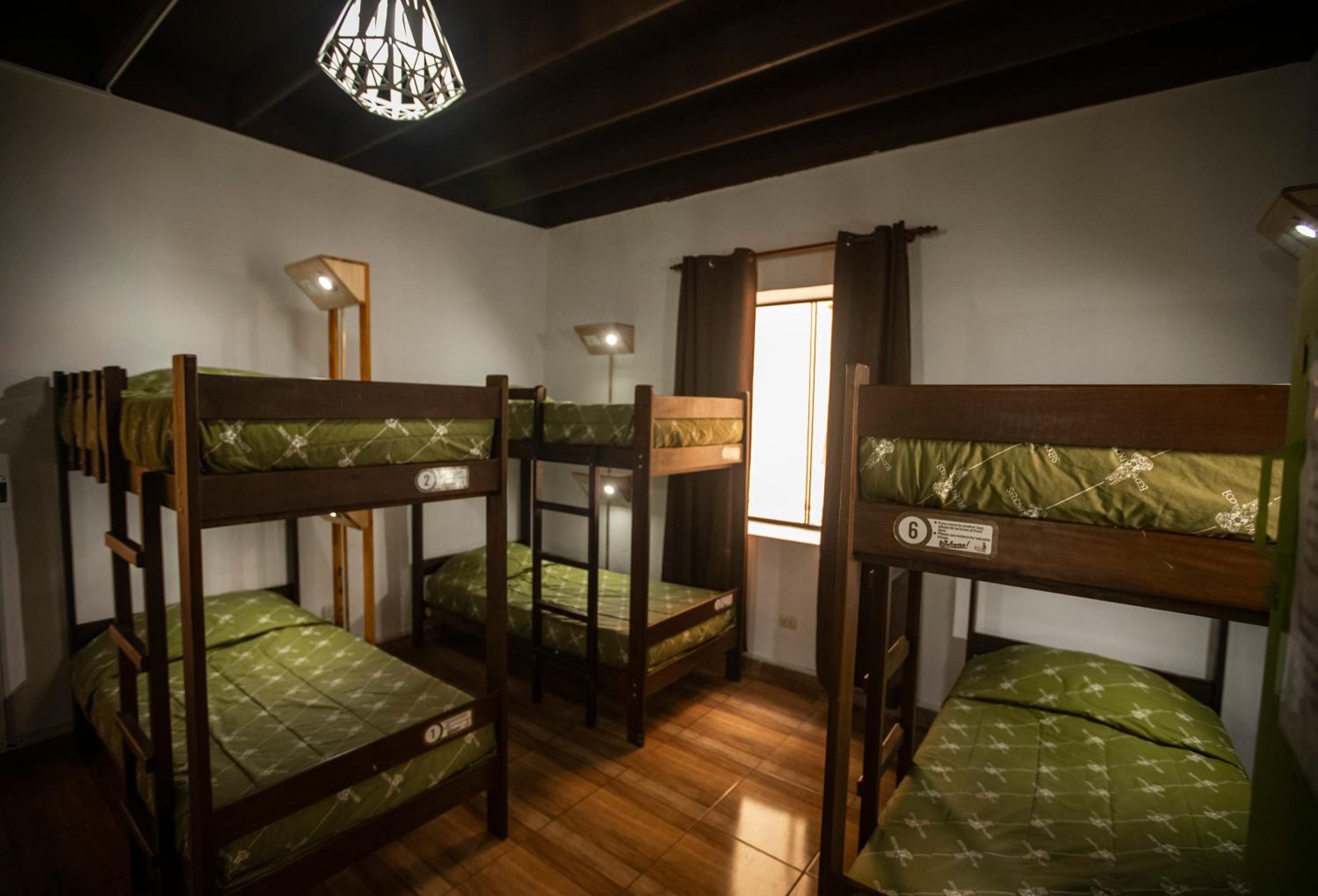 Single Bed in 6-Bed Dormitory Room photo 1