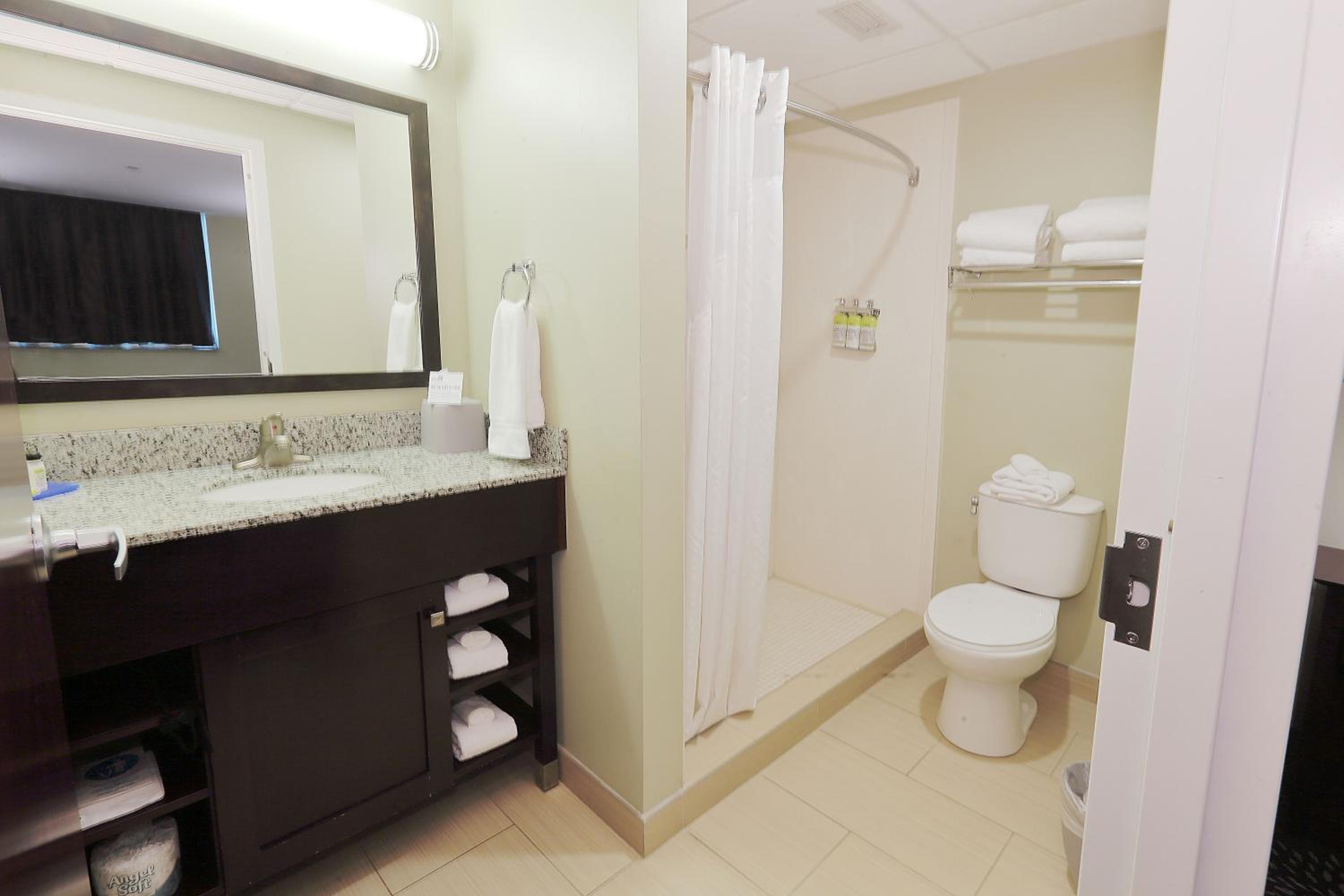 King Suite - Photo 6