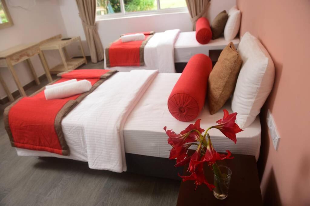 Deluxe Zweibettzimmer