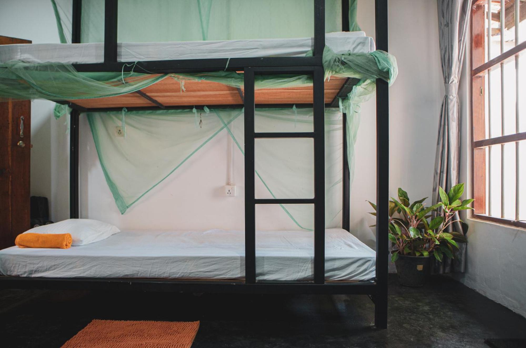 Bunk Bed in Mixed Dormitory Room photo 3