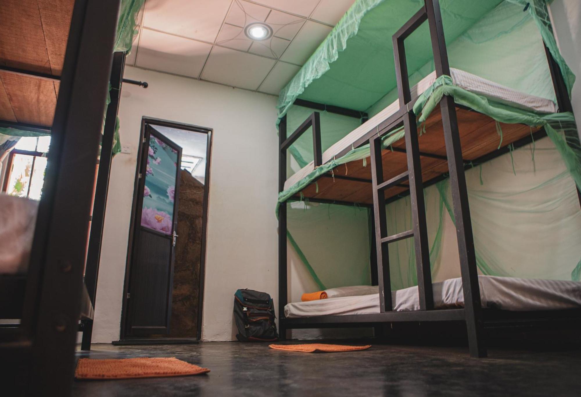Bunk Bed in Mixed Dormitory Room photo 1